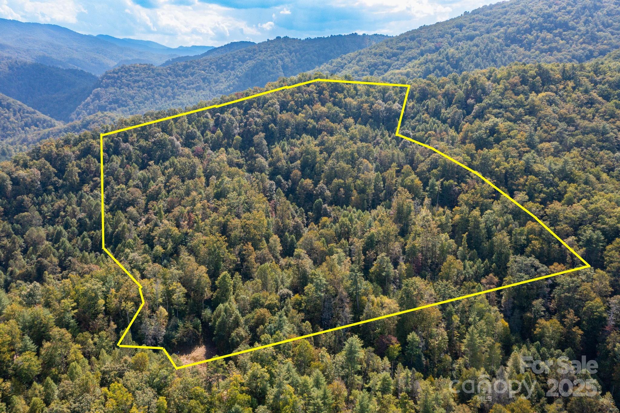 999 NC 209 Highway 9