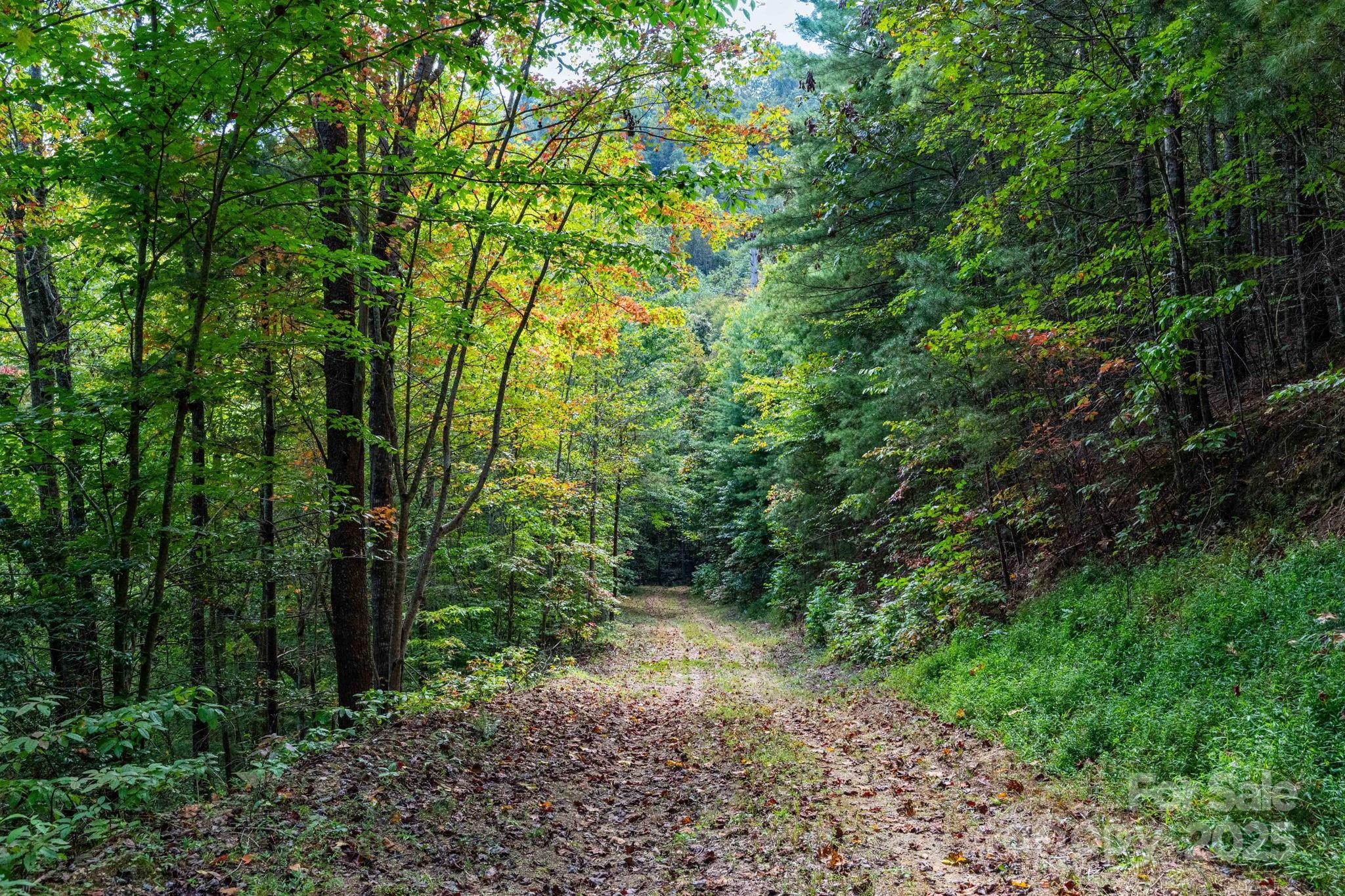 999 NC 209 Highway 9