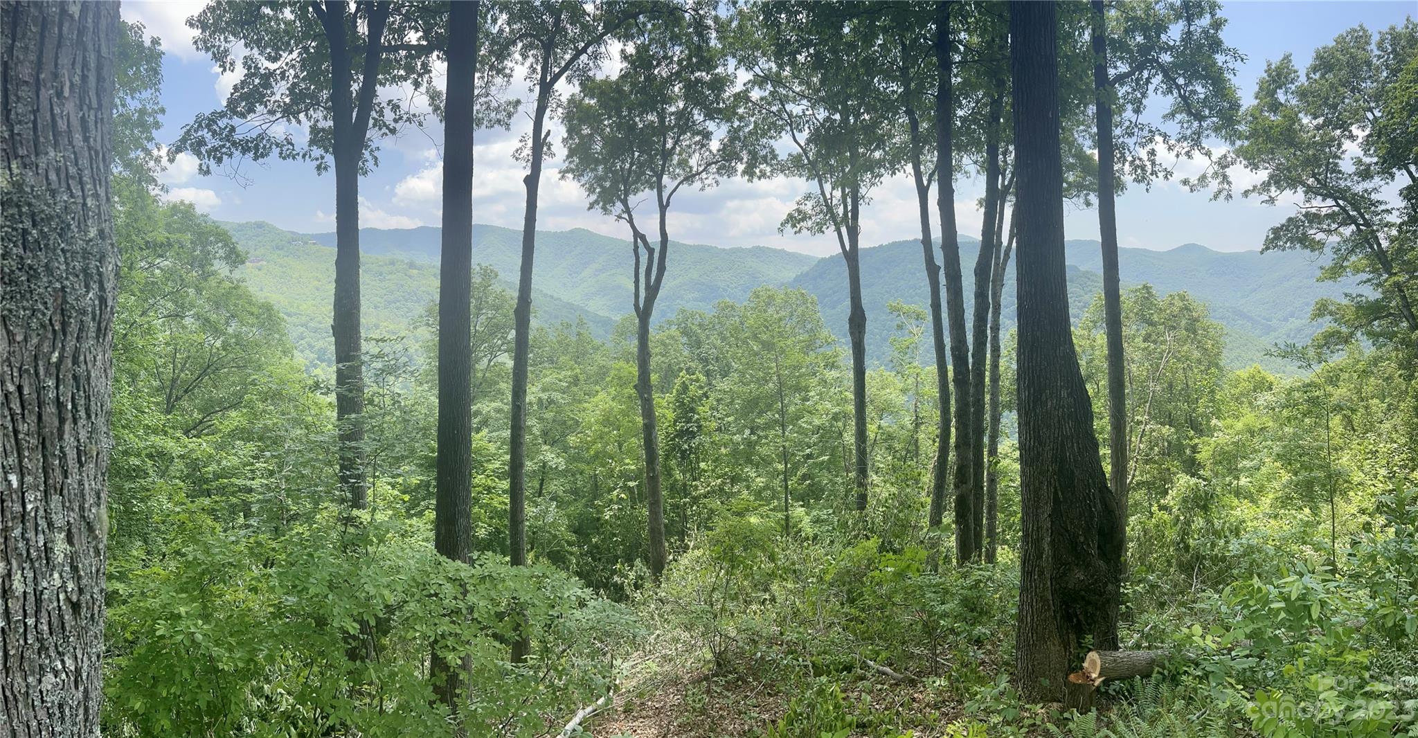 0 High Springs Road 13