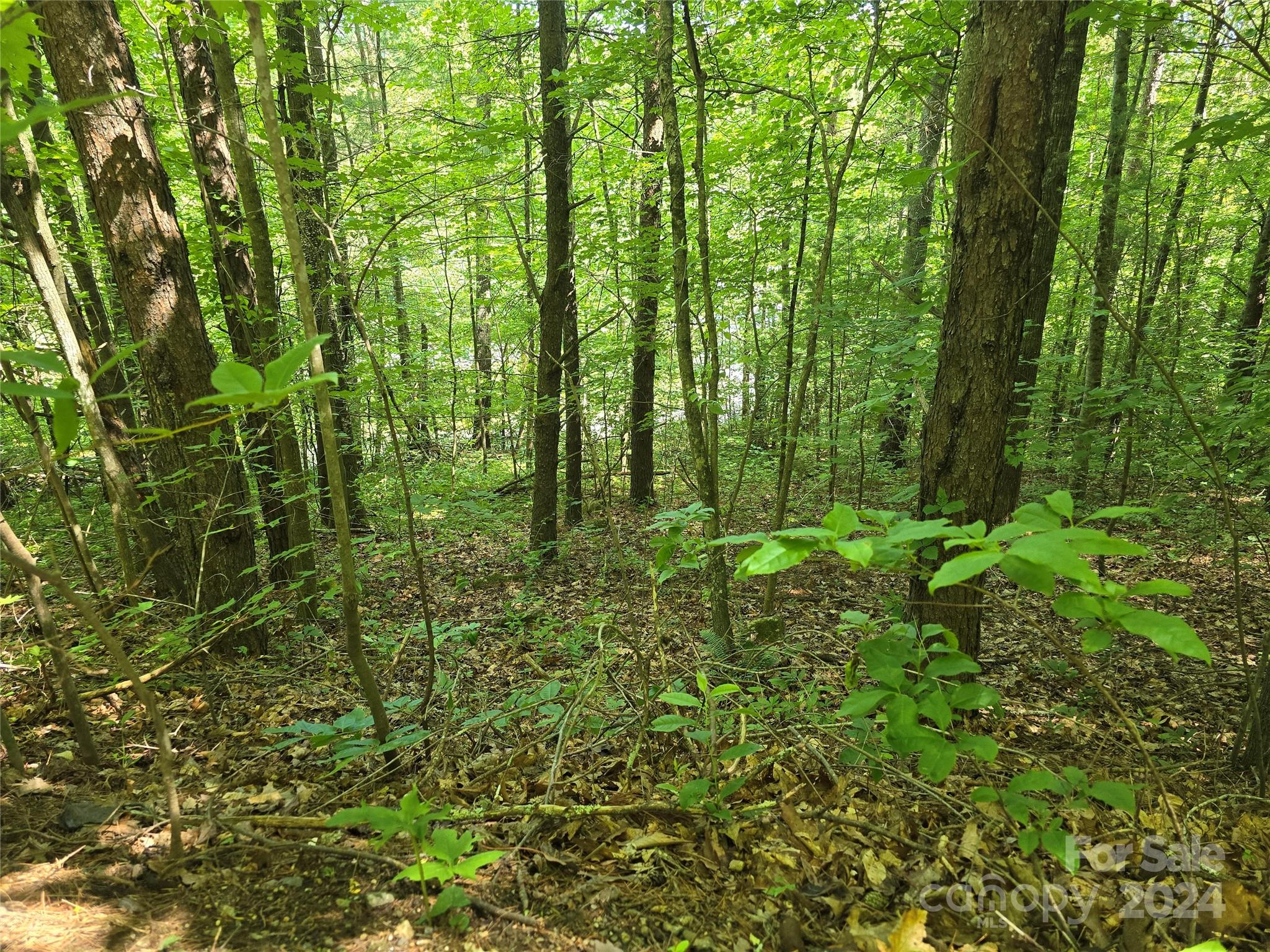 Alexander Acres - Land