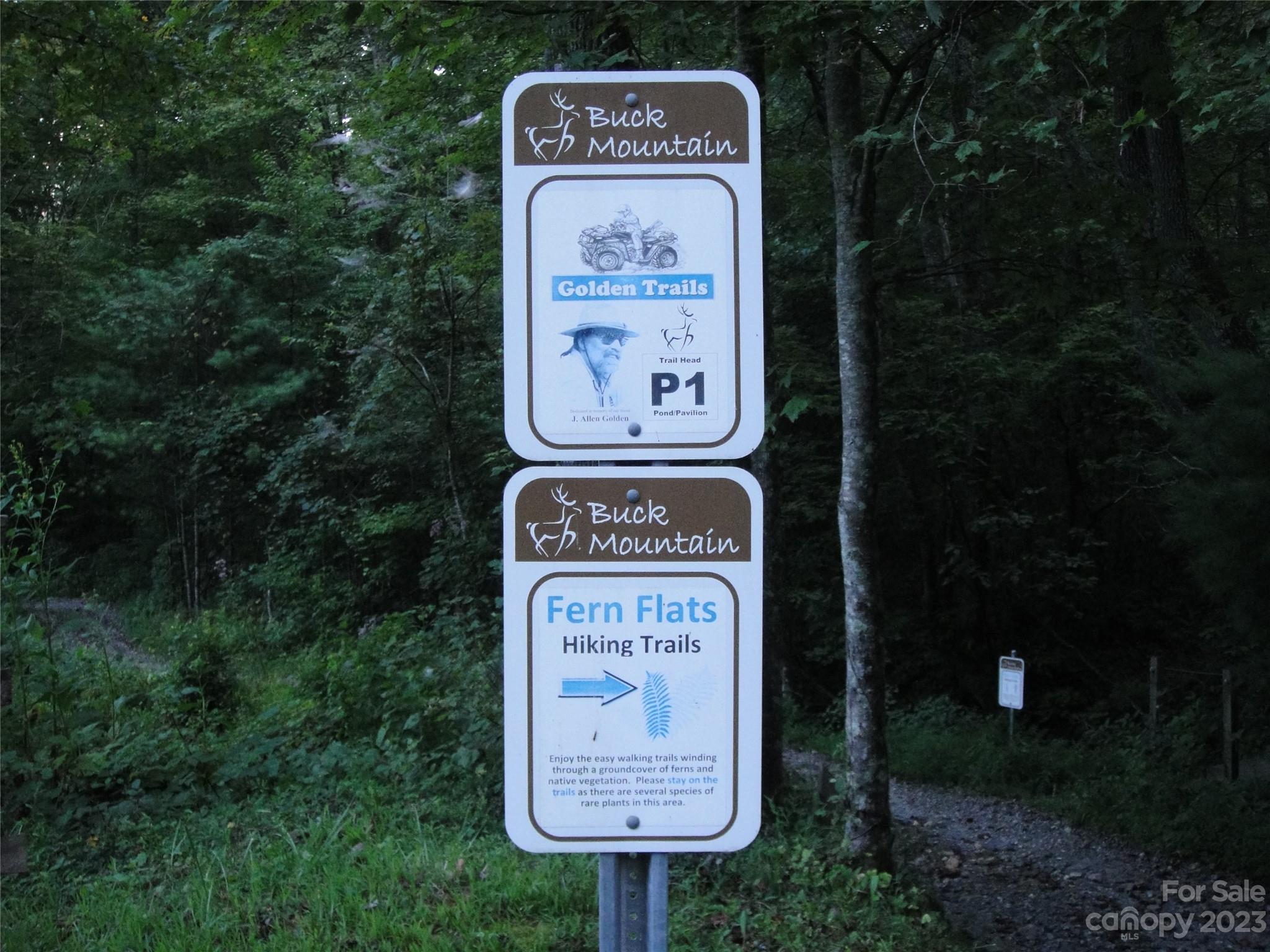 Buck Mountain - Land