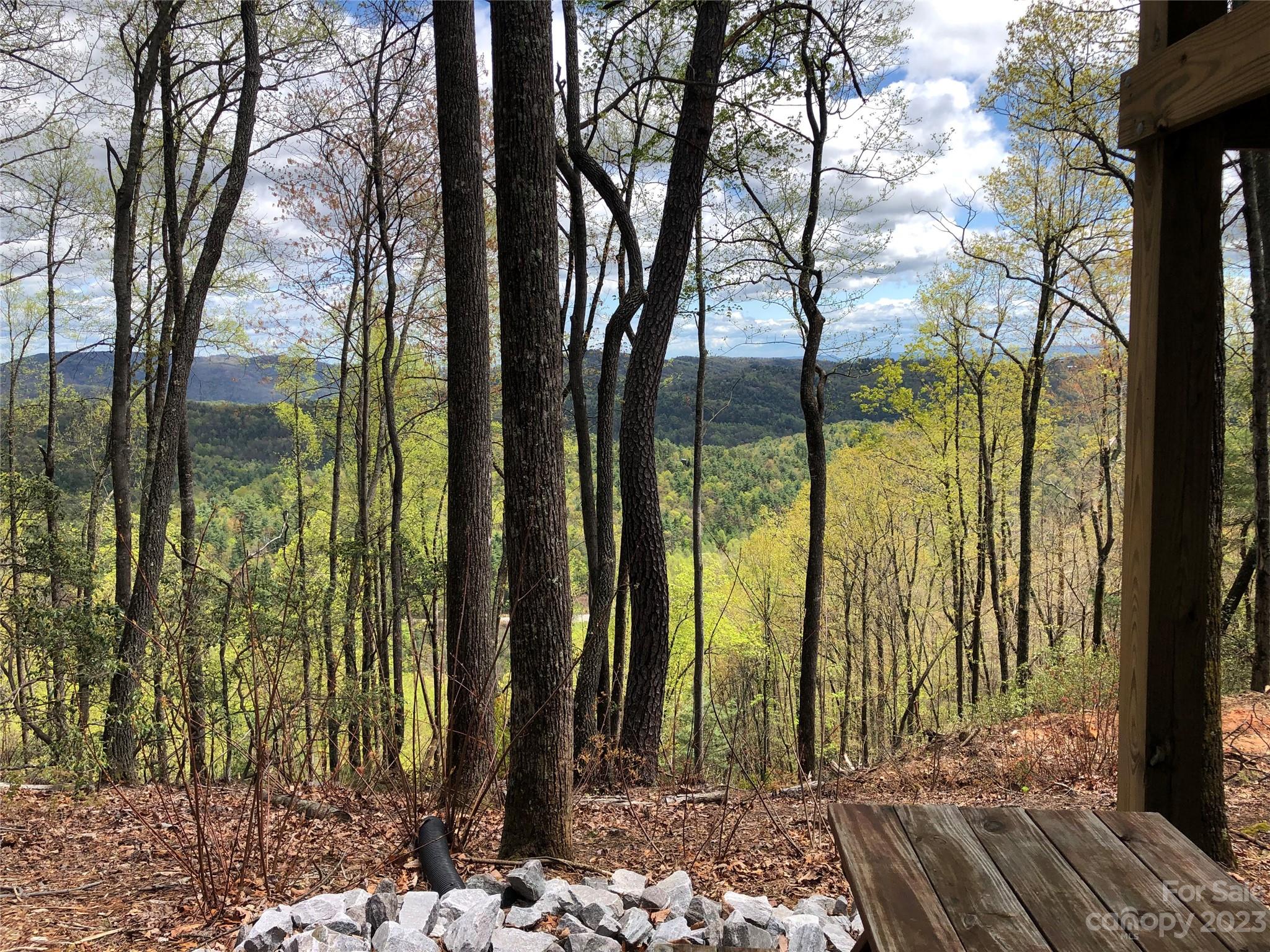 Buck Mountain - Land