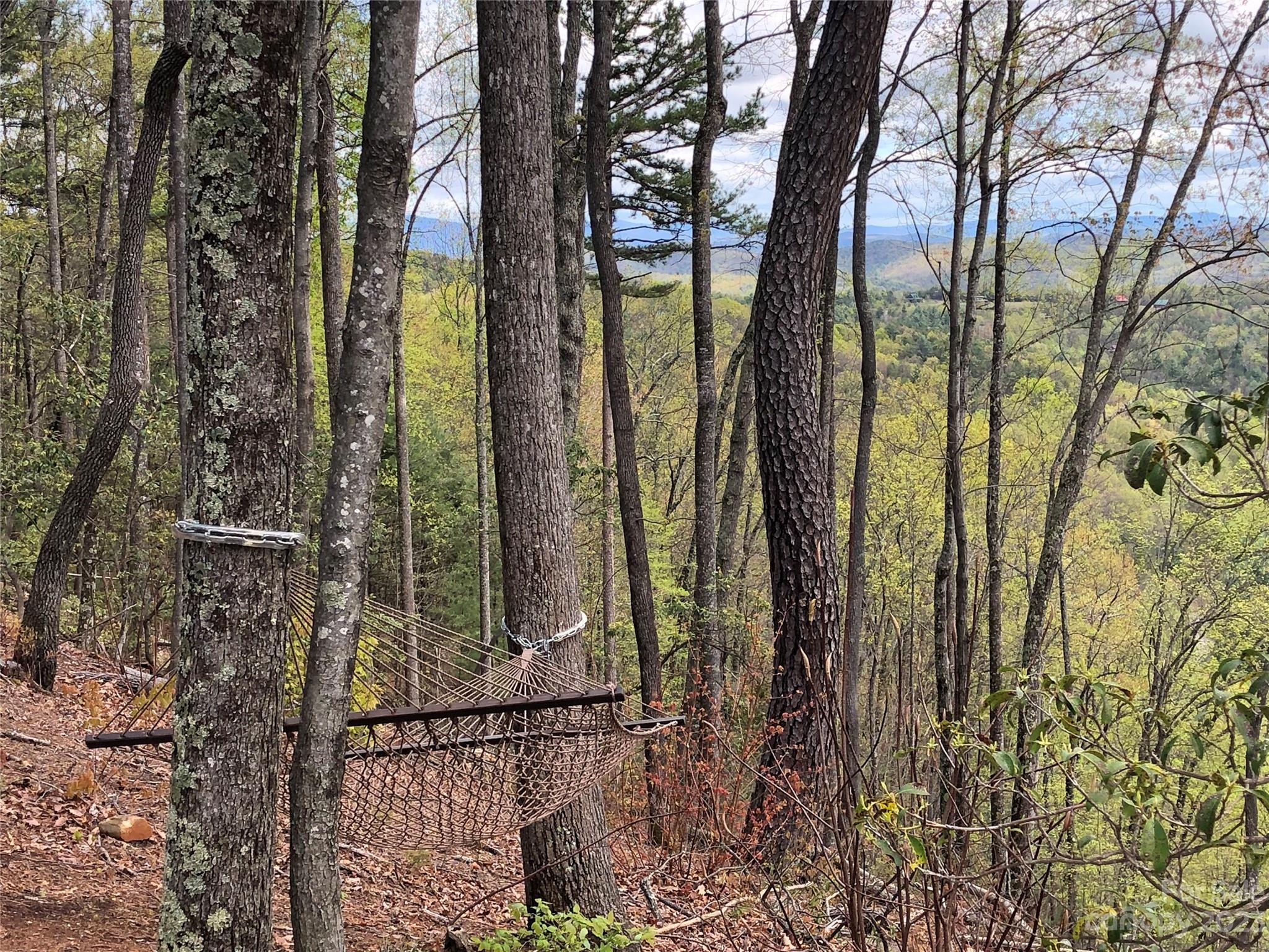 Buck Mountain - Land