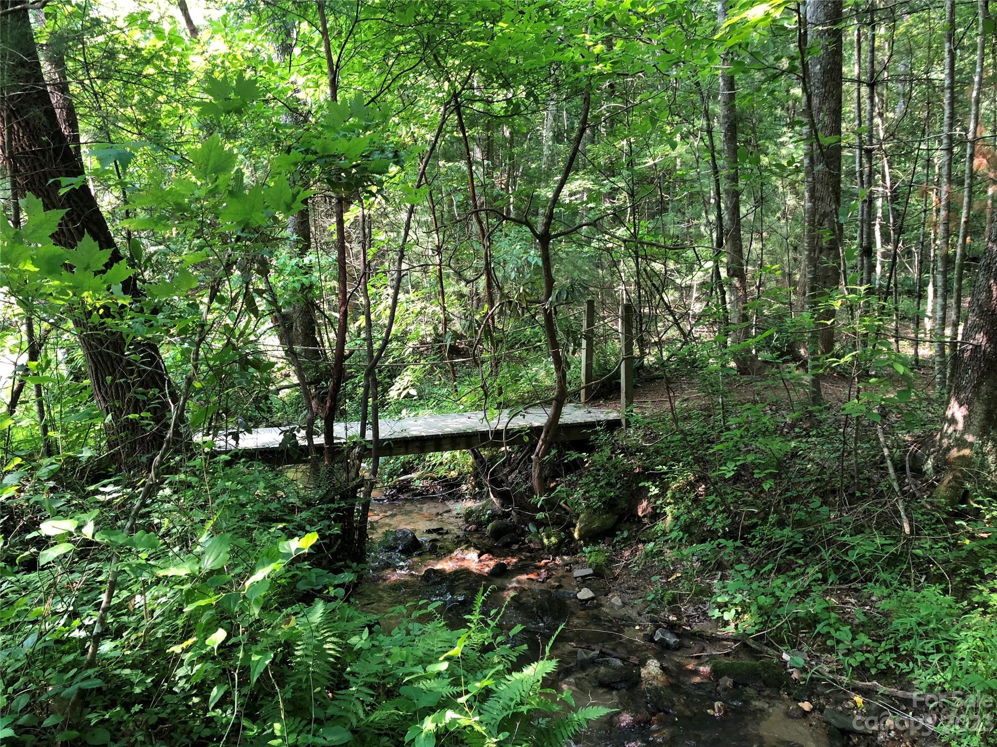 Buck Mountain - Land