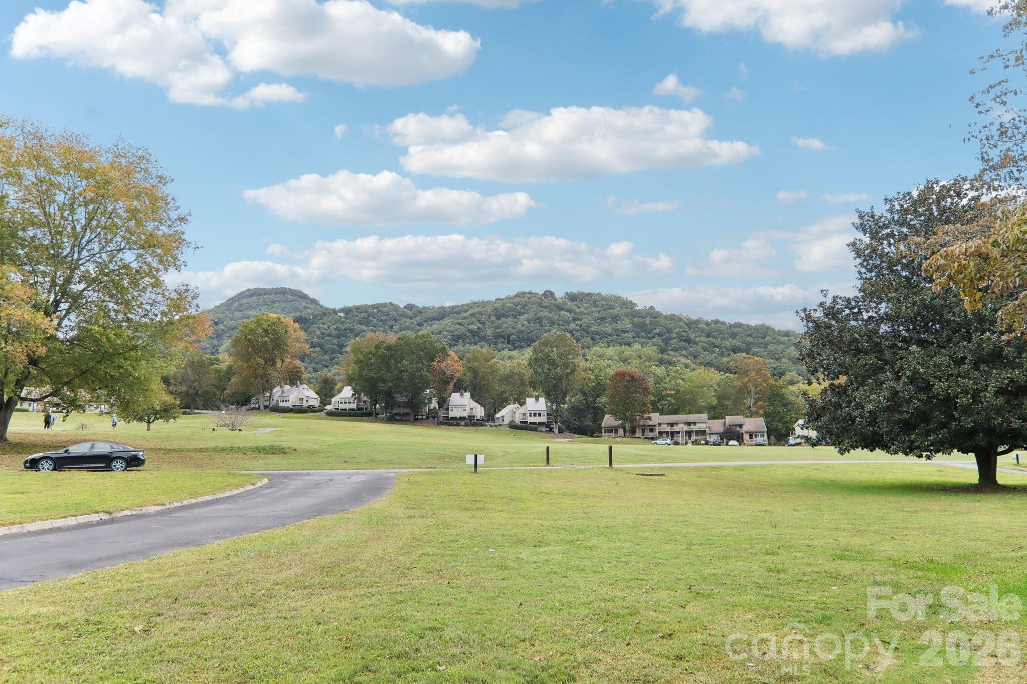 Rumbling Bald on Lake Lure - Residential