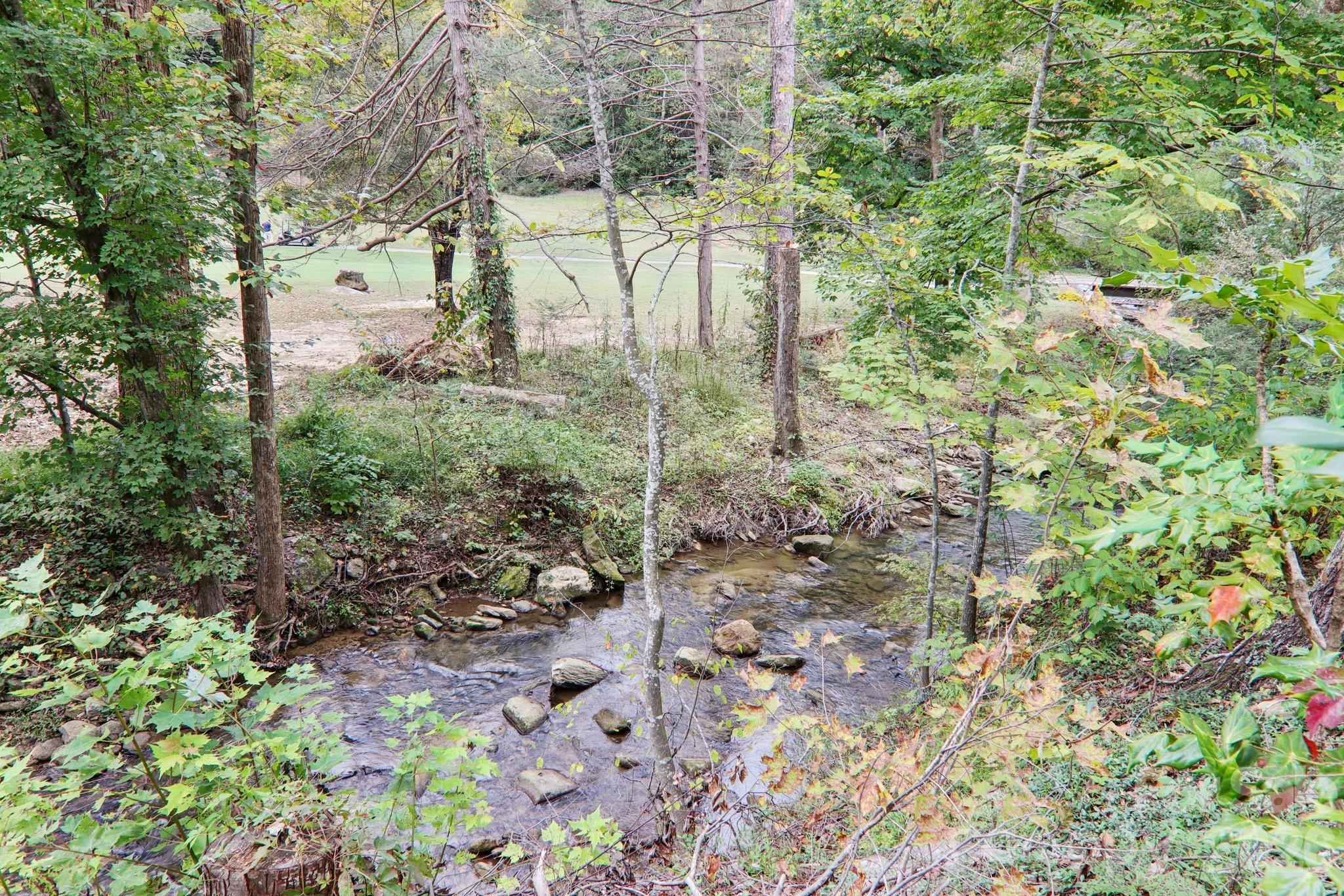 Rumbling Bald on Lake Lure - Residential
