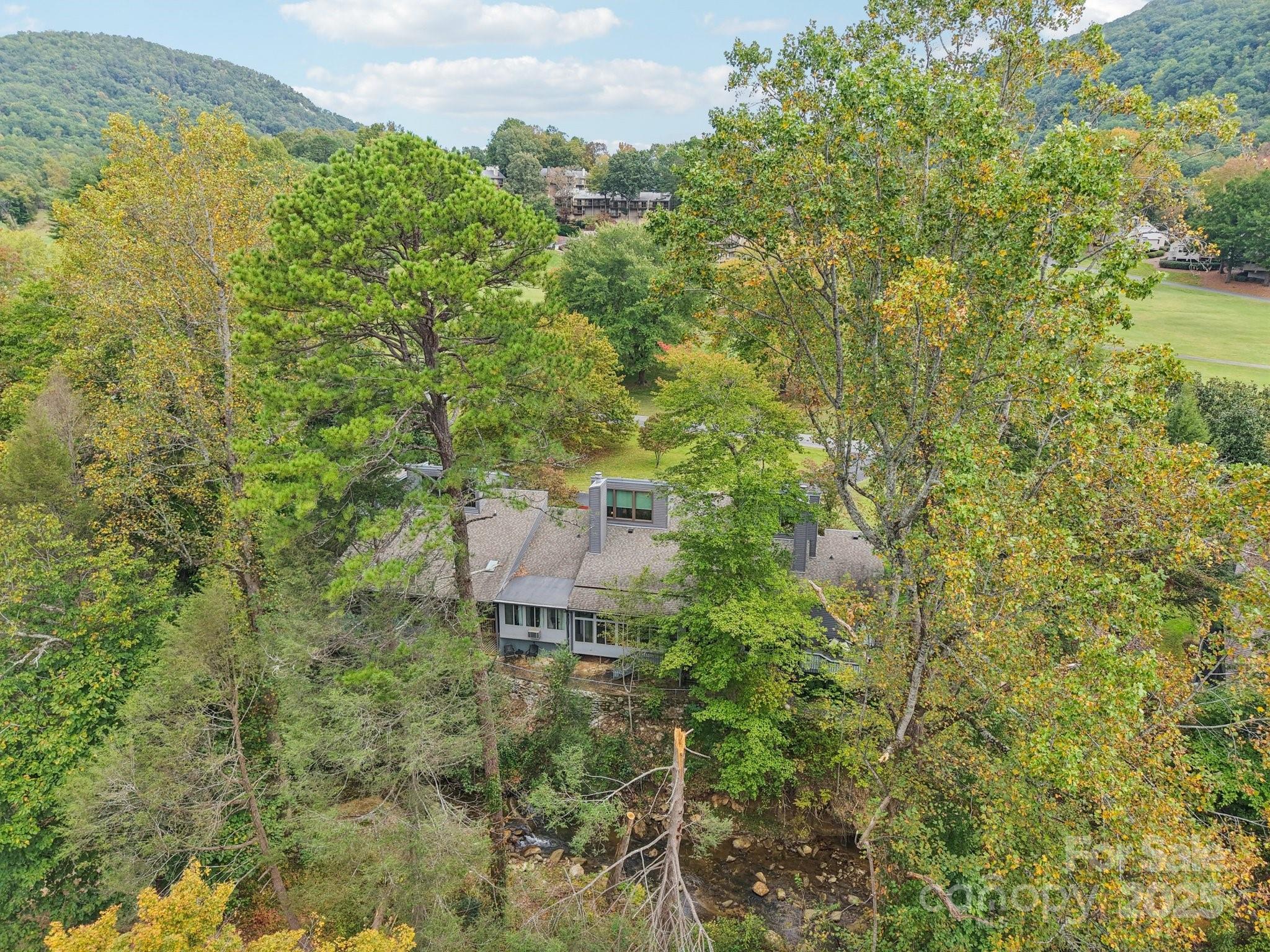 Rumbling Bald on Lake Lure - Residential