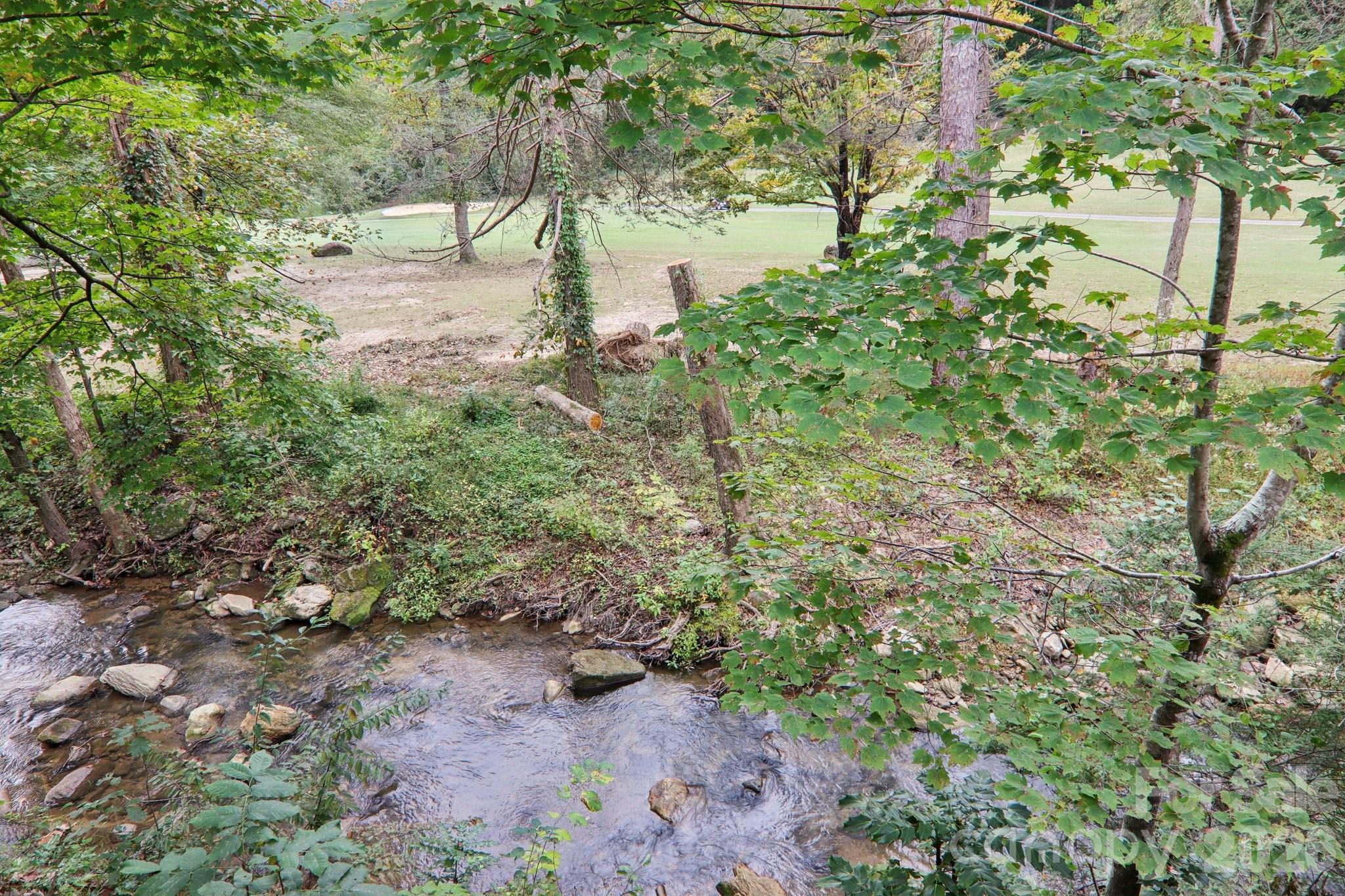 Rumbling Bald on Lake Lure - Residential