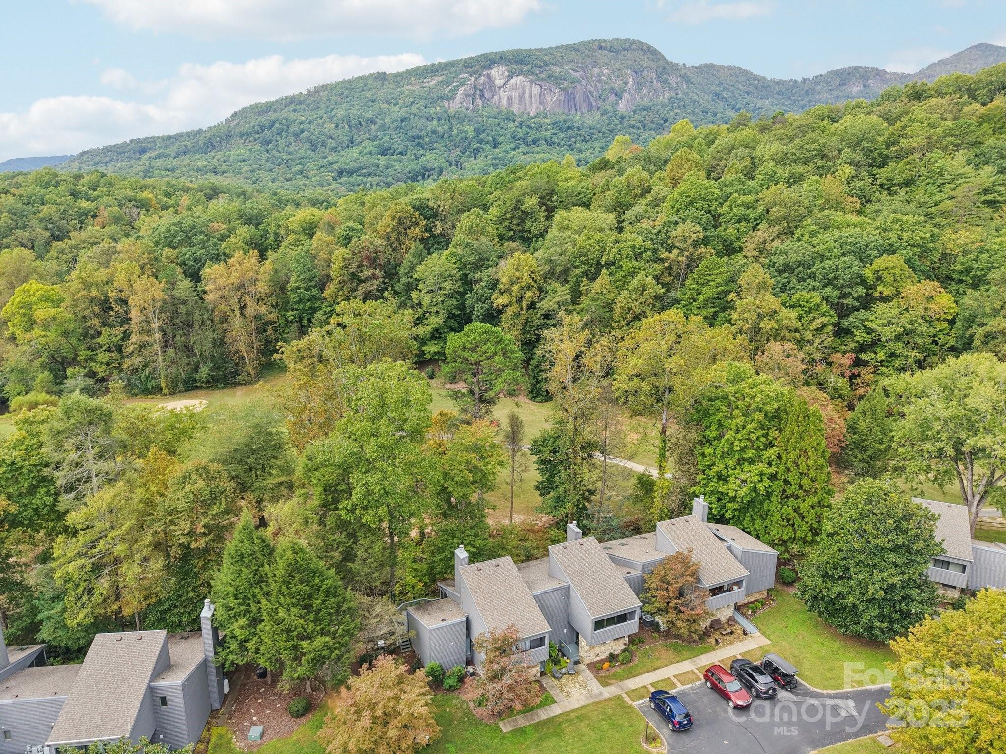 Rumbling Bald on Lake Lure - Residential