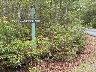 FR 16 OPOSSUM PATH # FR 16, BREVARD, NC 28712 - Image 4af7721f9f4c9fa5ef7c94fbaa330bb5/860040264