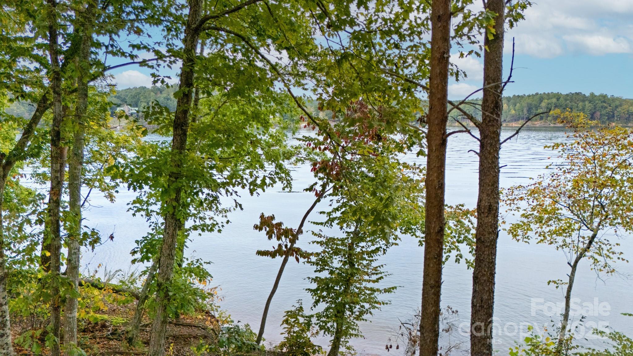 Lakeside Reserve - Land