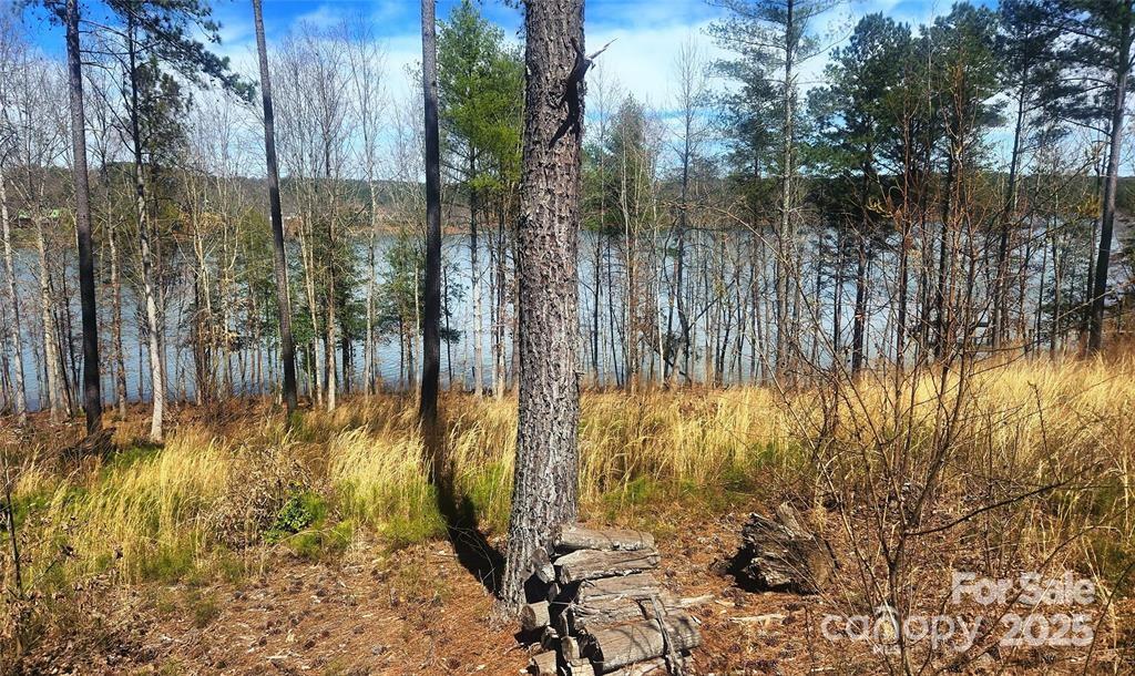 Lakeside Reserve - Land