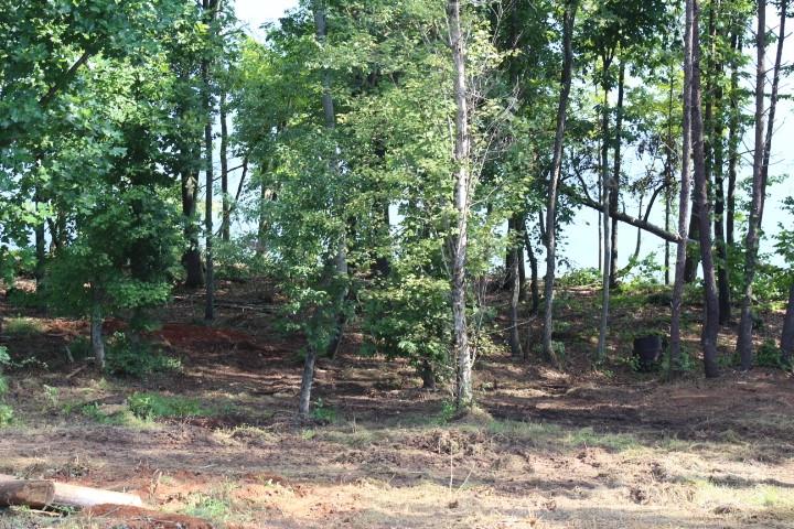 Lakeside Reserve - Land