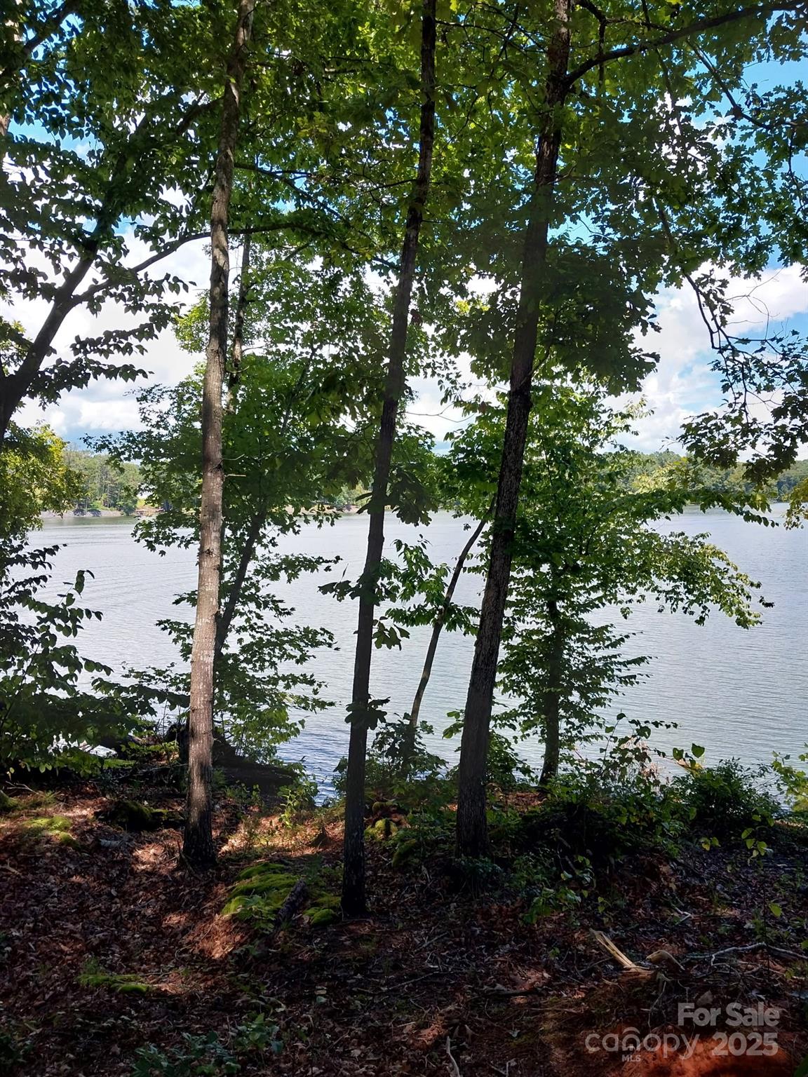 Lakeside Reserve - Land