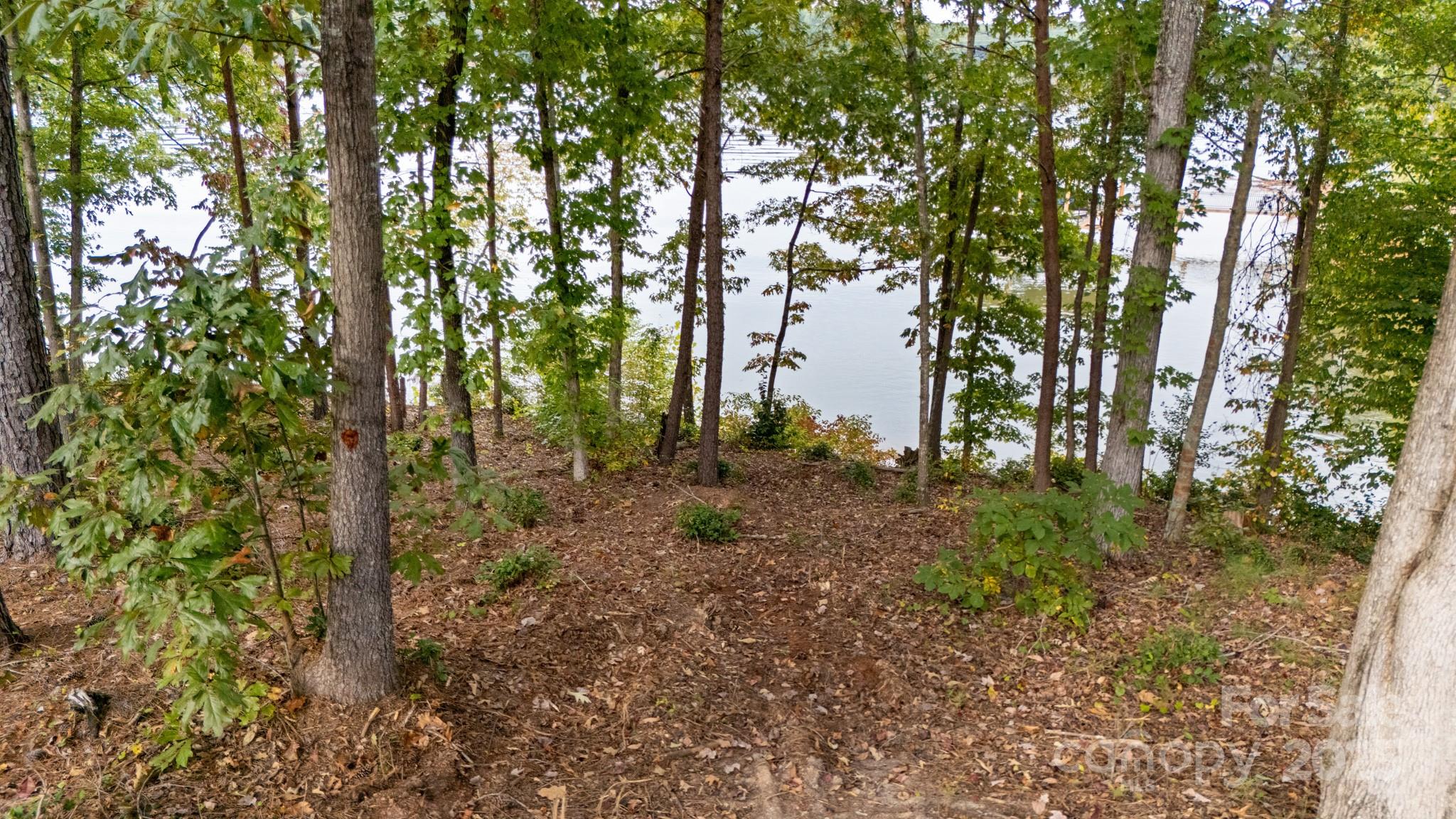 Lakeside Reserve - Land