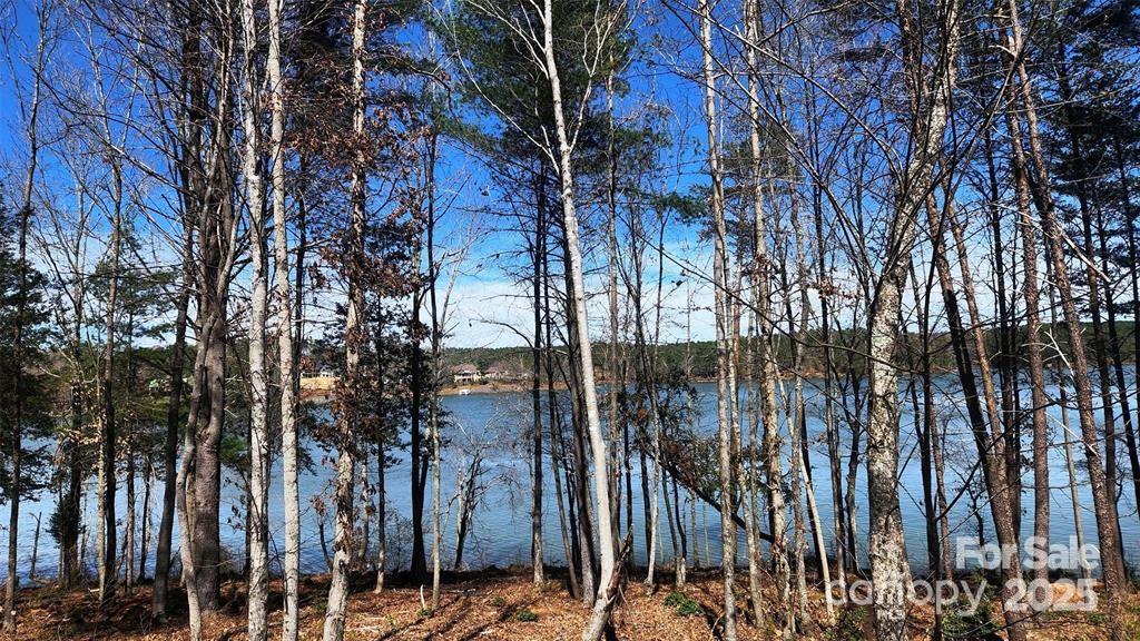 Lakeside Reserve - Land