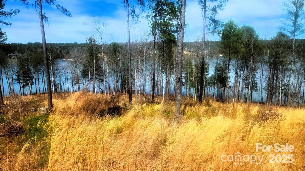 Lakeside Reserve - Land