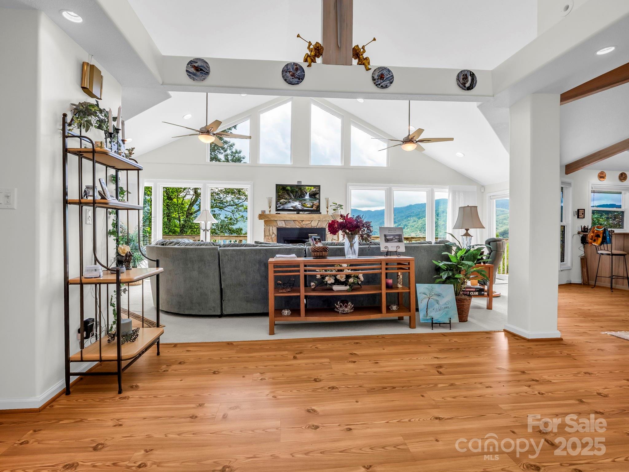 698 Youngs Mountain Drive