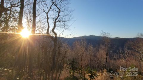 698 Youngs Mountain Drive Lake Lure NC 28746