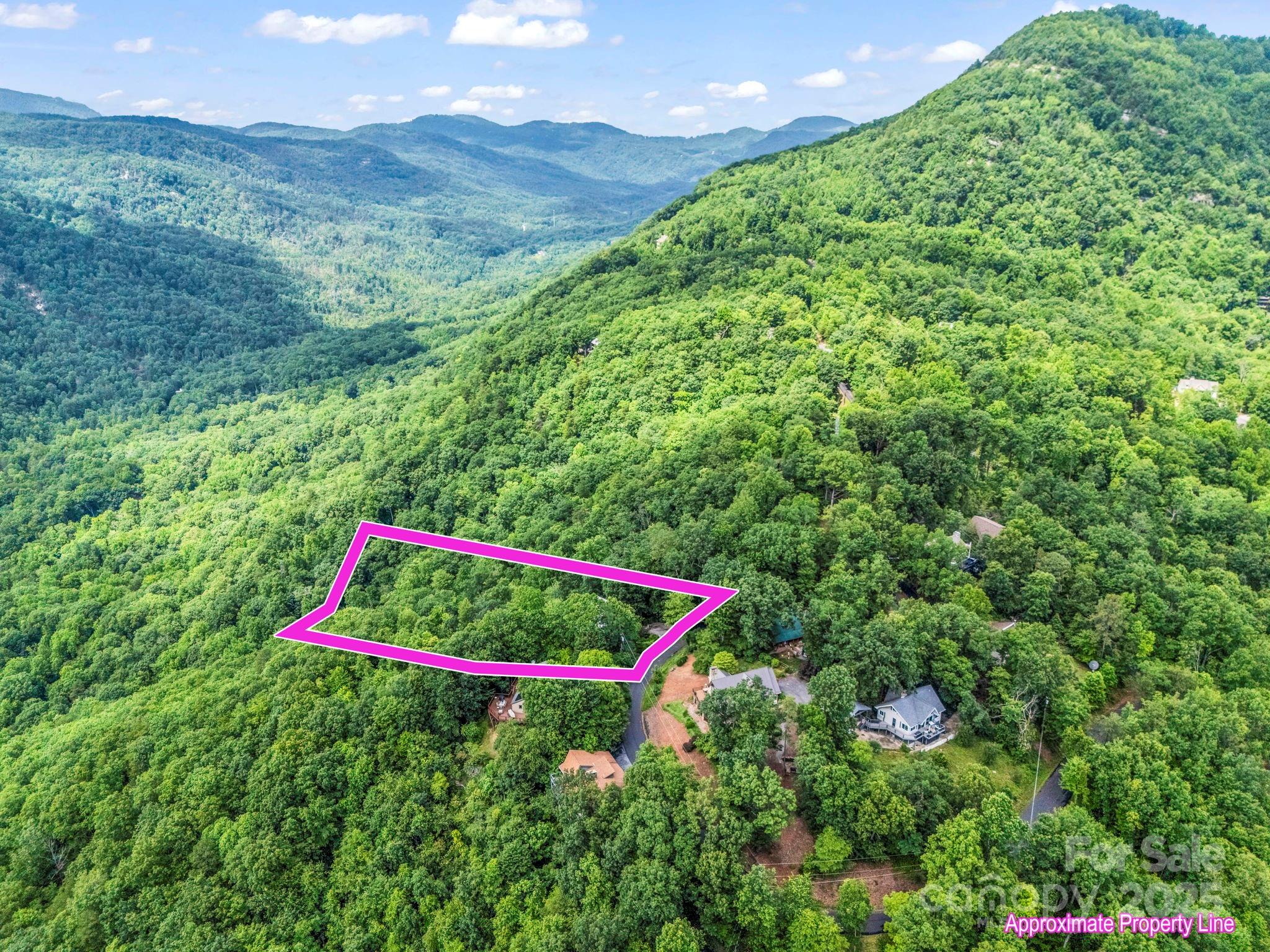 Rumbling Bald on Lake Lure - Residential