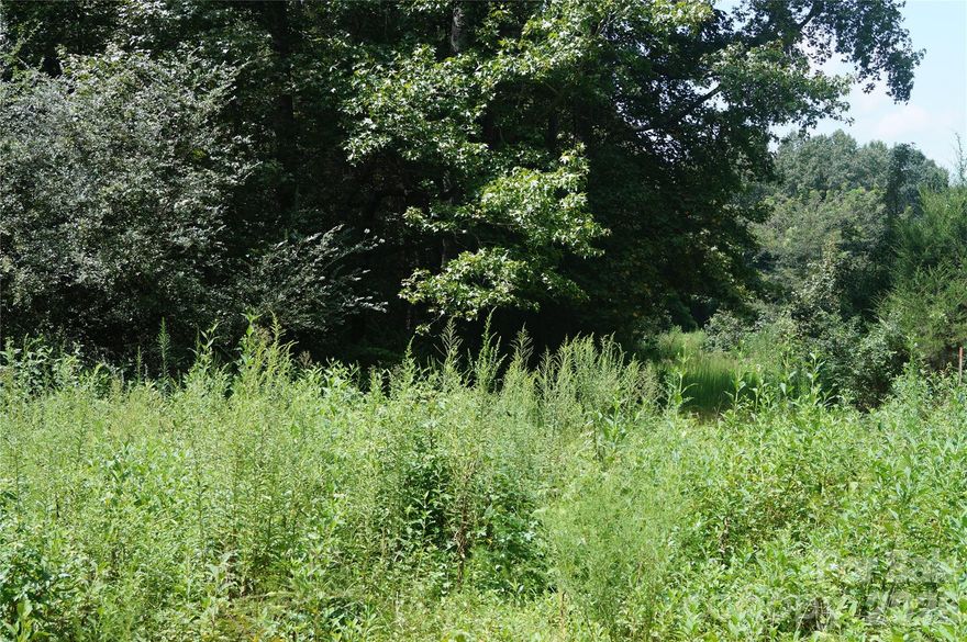 13 ± acres in Cherokee County, 185 Hall Rd., Gaffney, SC