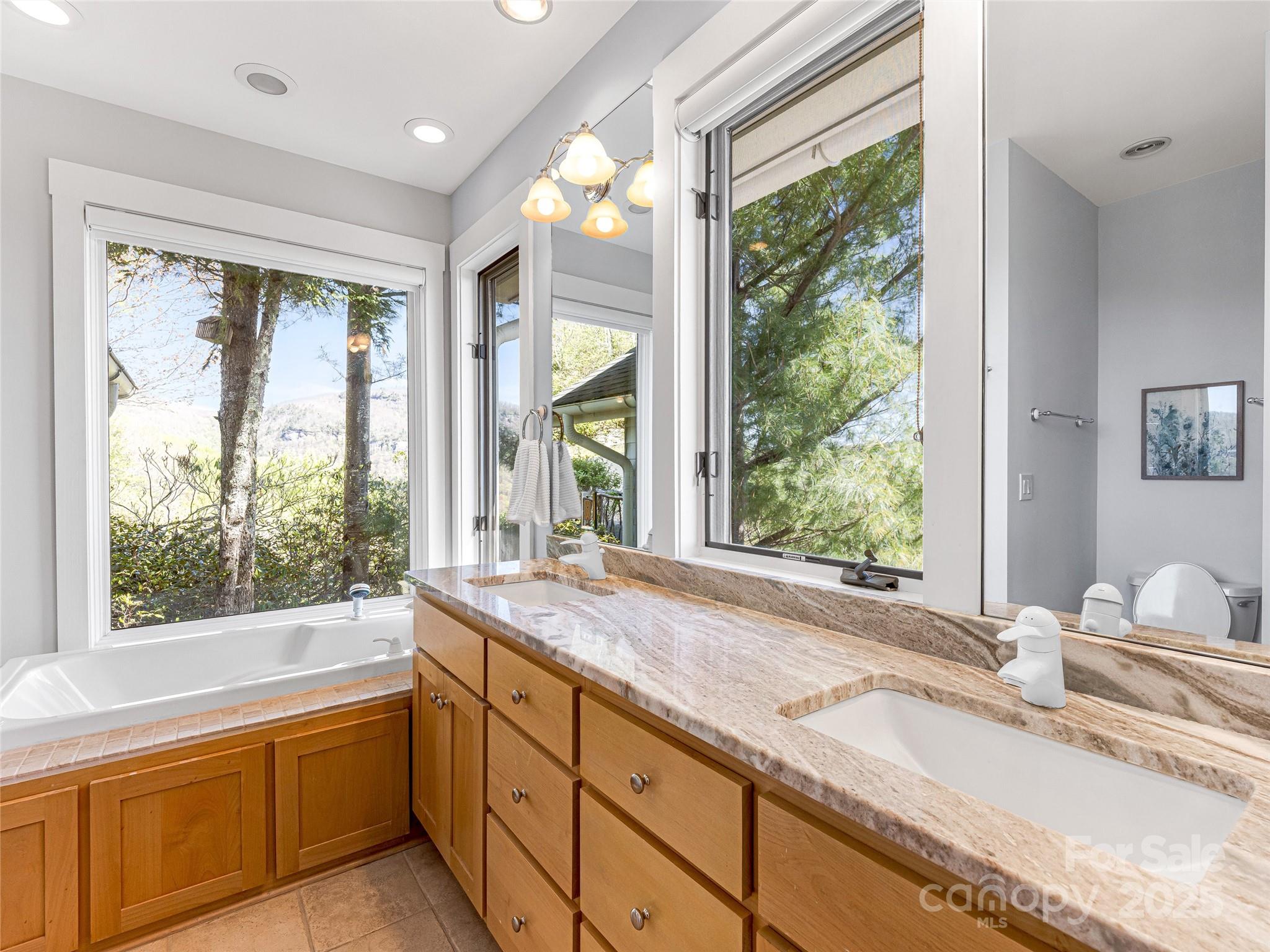 Lake Toxaway Estates - Residential