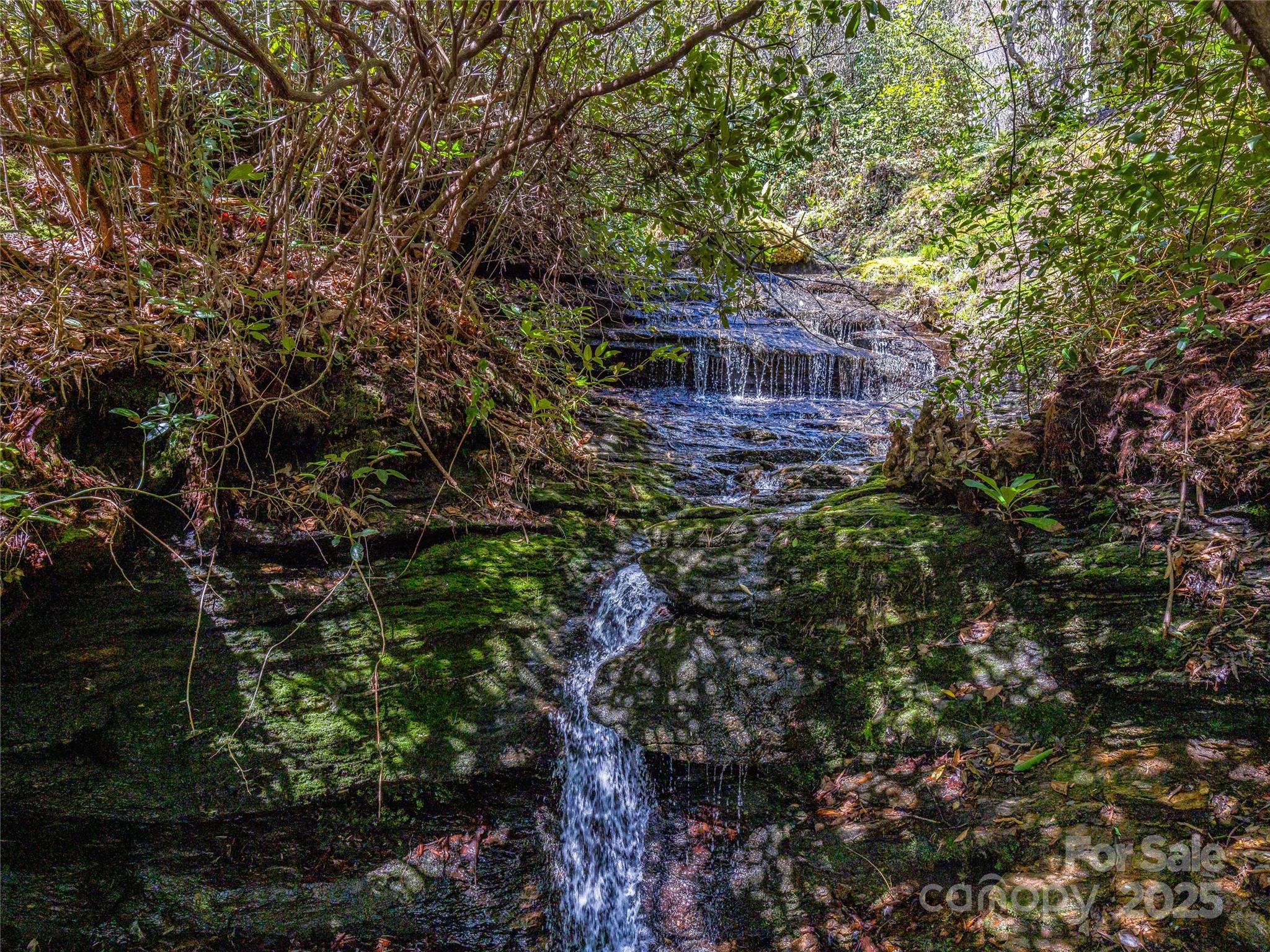 Lake Toxaway Estates - Residential