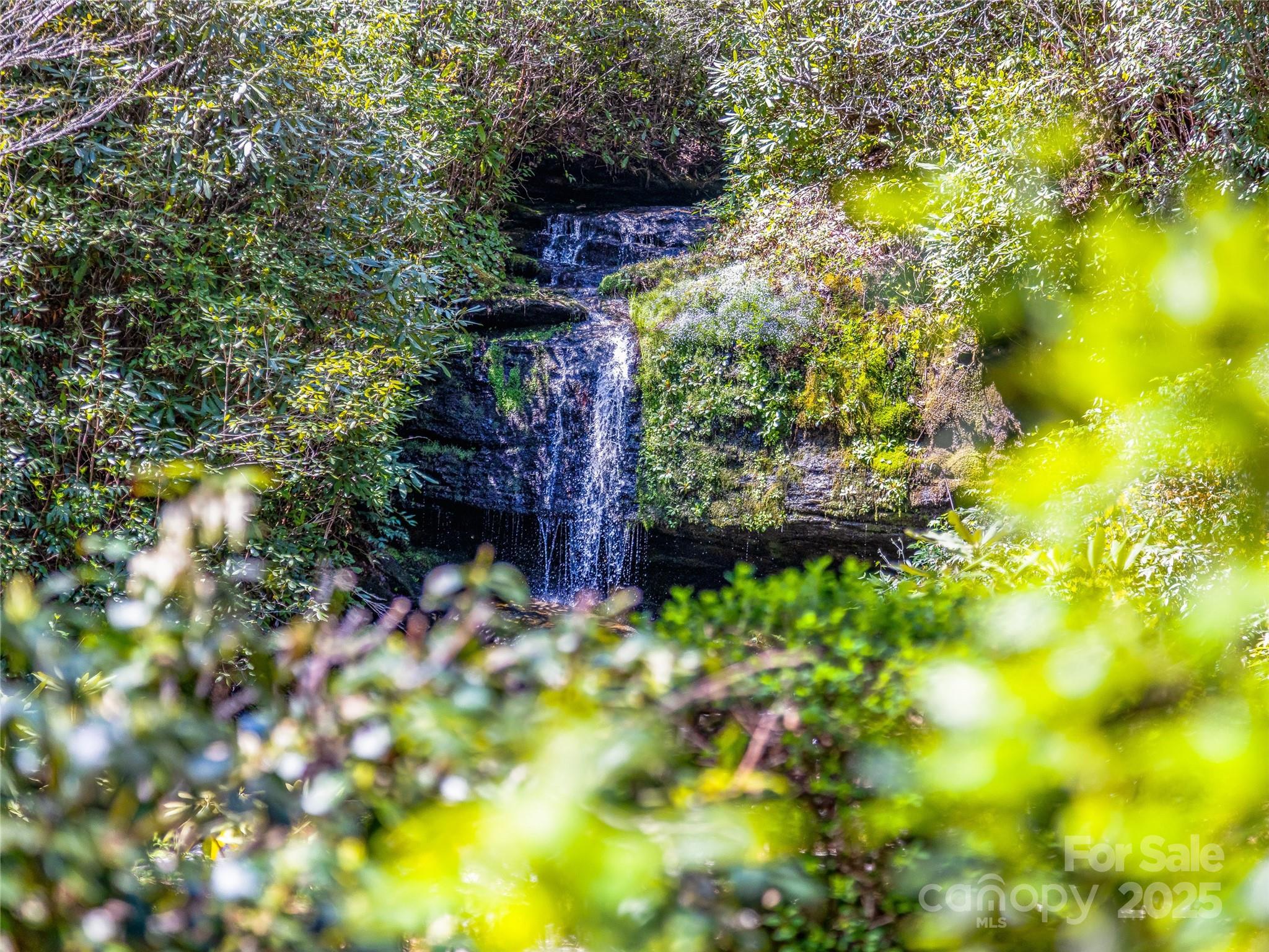 Lake Toxaway Estates - Residential