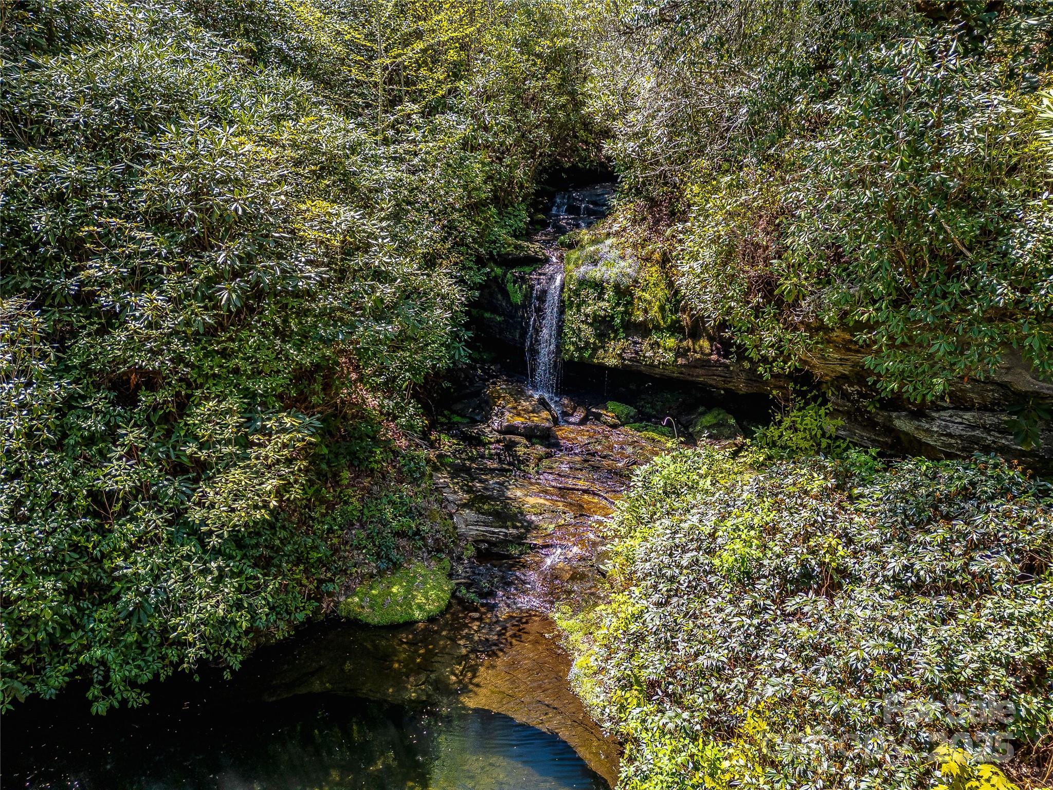 199 Mills Creek Point
