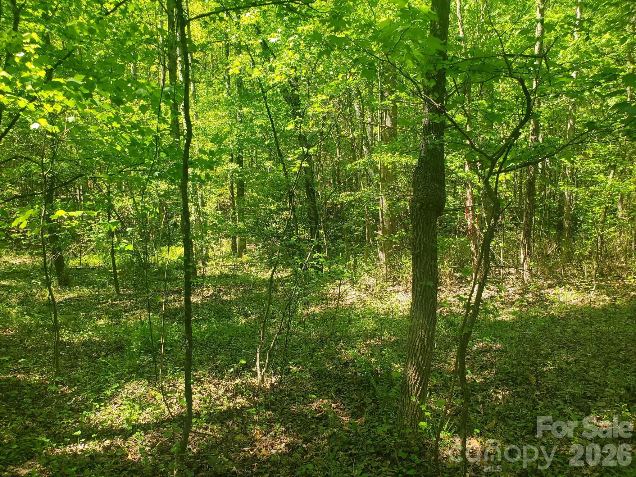 3727 Mount Beulah Road 5