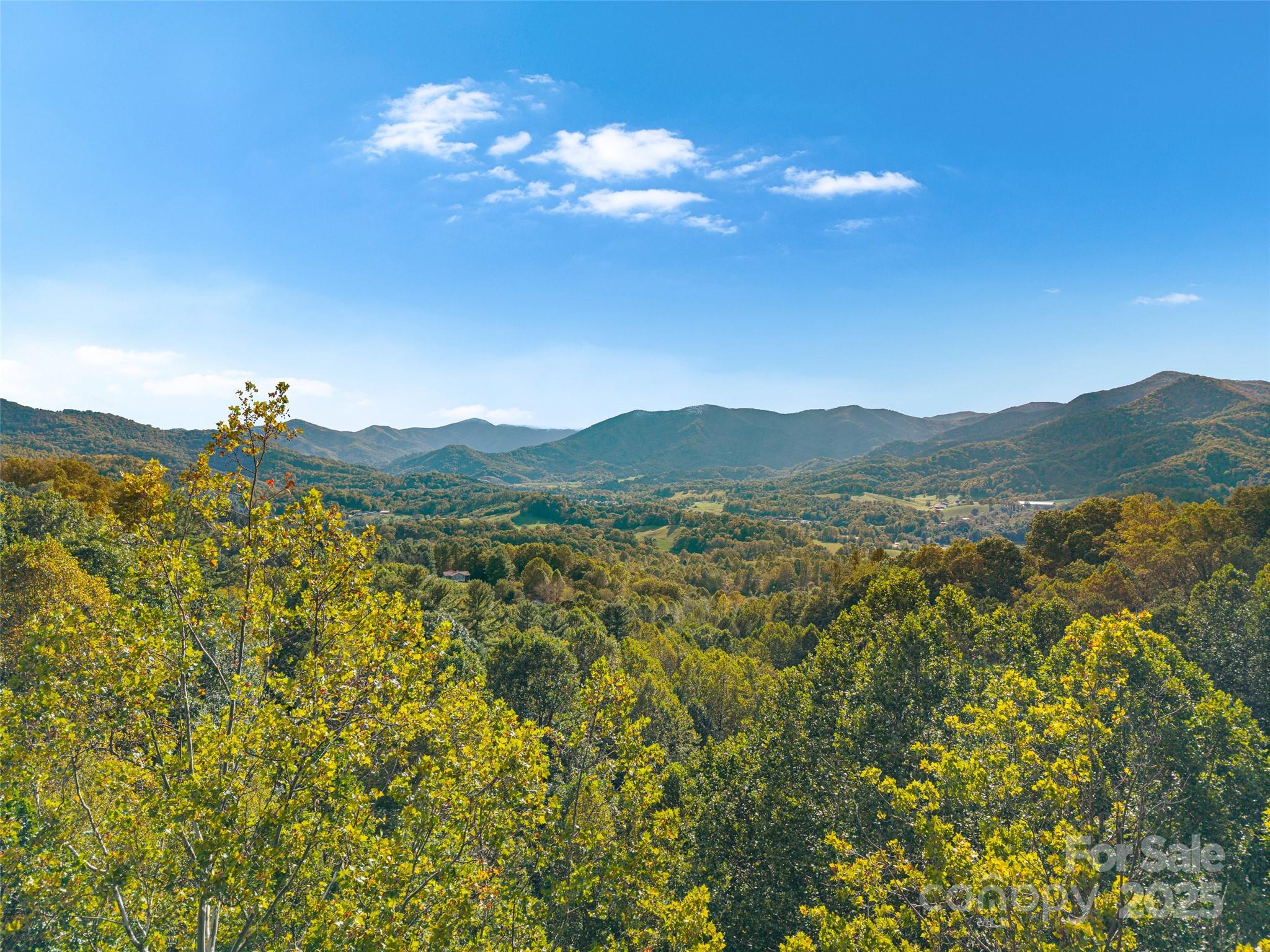 1465 Maple Springs Drive