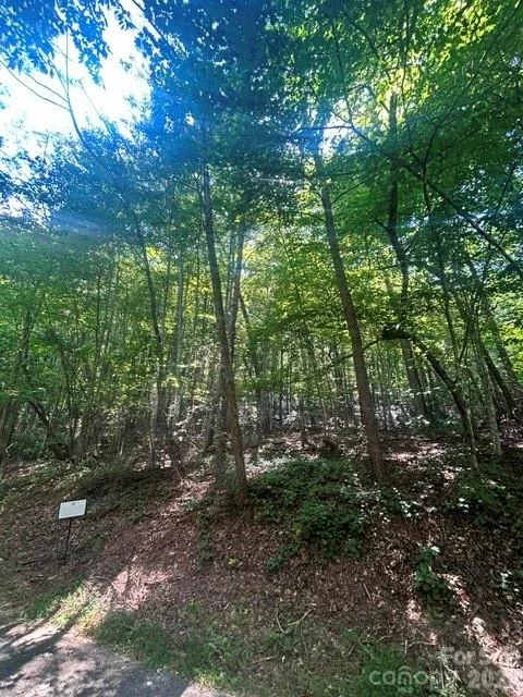 Lot 272 Hummingbird Court, Lake Lure, NC, 28746