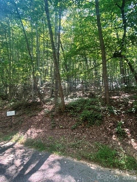 Lot 272 Hummingbird Court