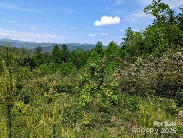 Round Mountain Falls - Land