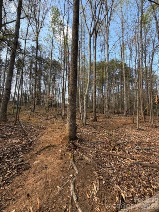 The Summit at Lake Norman - Land