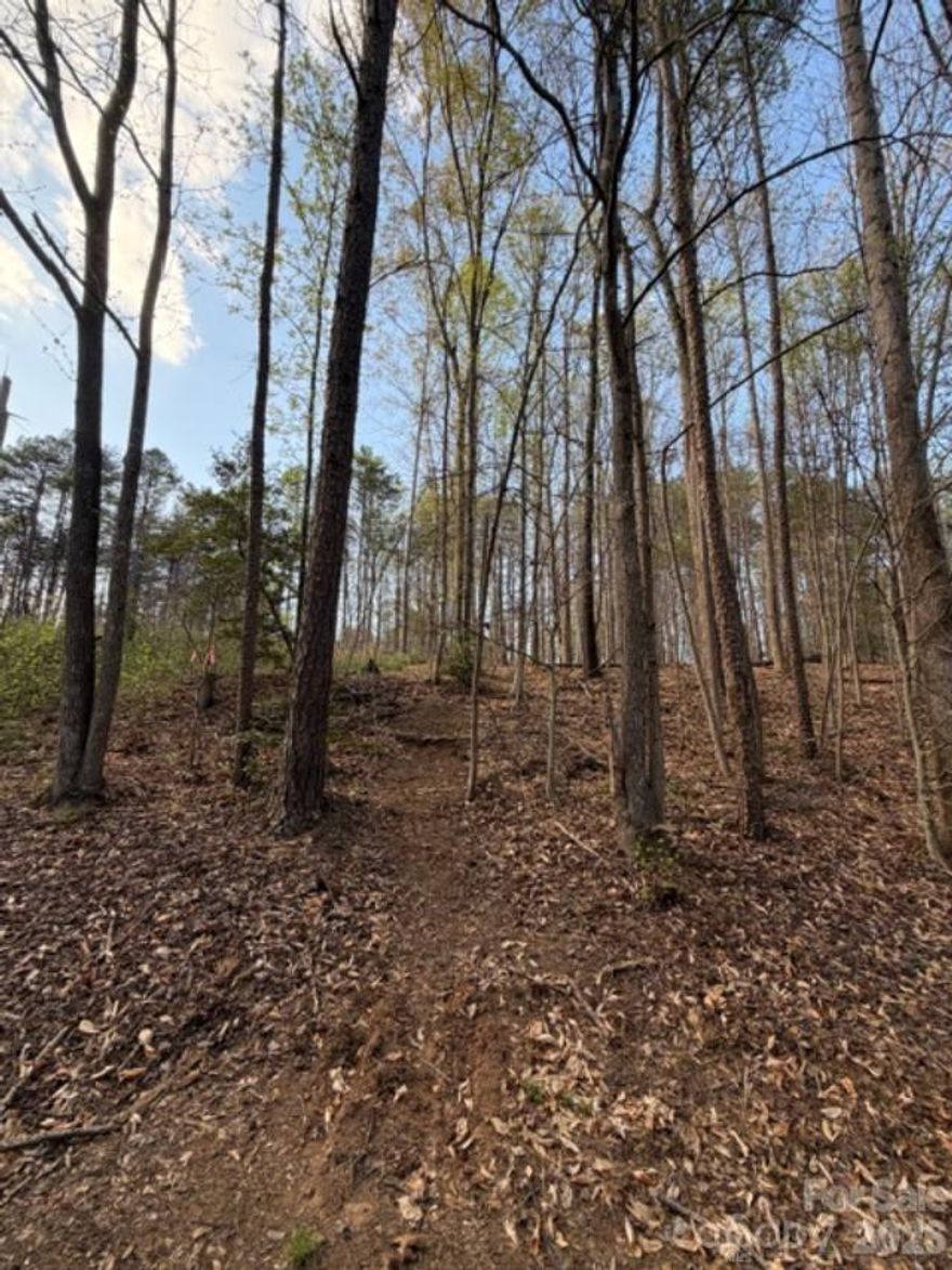 Build your dream home on this beautiful wooded 0.53-acre lot in The Summit at Lake Norman. Tucked away in a peaceful, country-like setting, yet just a short drive to shopping, dining, and everyday conveniences, this property offers the best of both worlds. The gently sloping terrain is perfect for a custom build, and a soil scientist report for a 3-bedroom home is already complete. Spend your days enjoying Lake Norman just down the street, with community lake access including a boat and paddleboard launch, plus nearby Long Island Marina and boat ramp. Relax, unwind, and enjoy nature all around you.