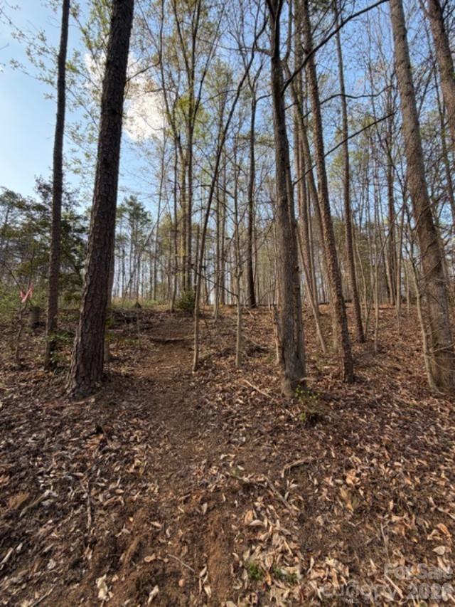 The Summit at Lake Norman - Land