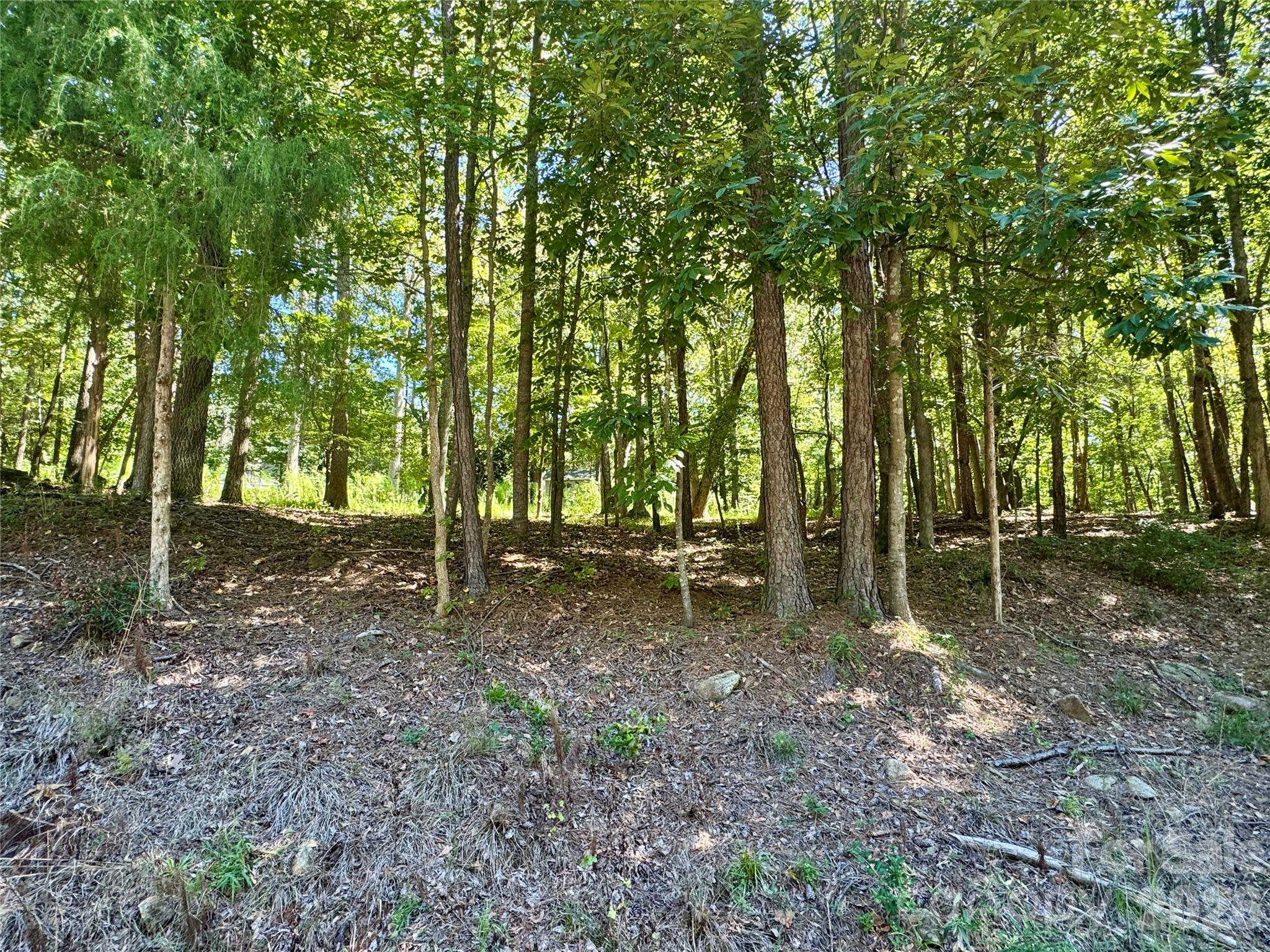 10062 Southwinds Drive