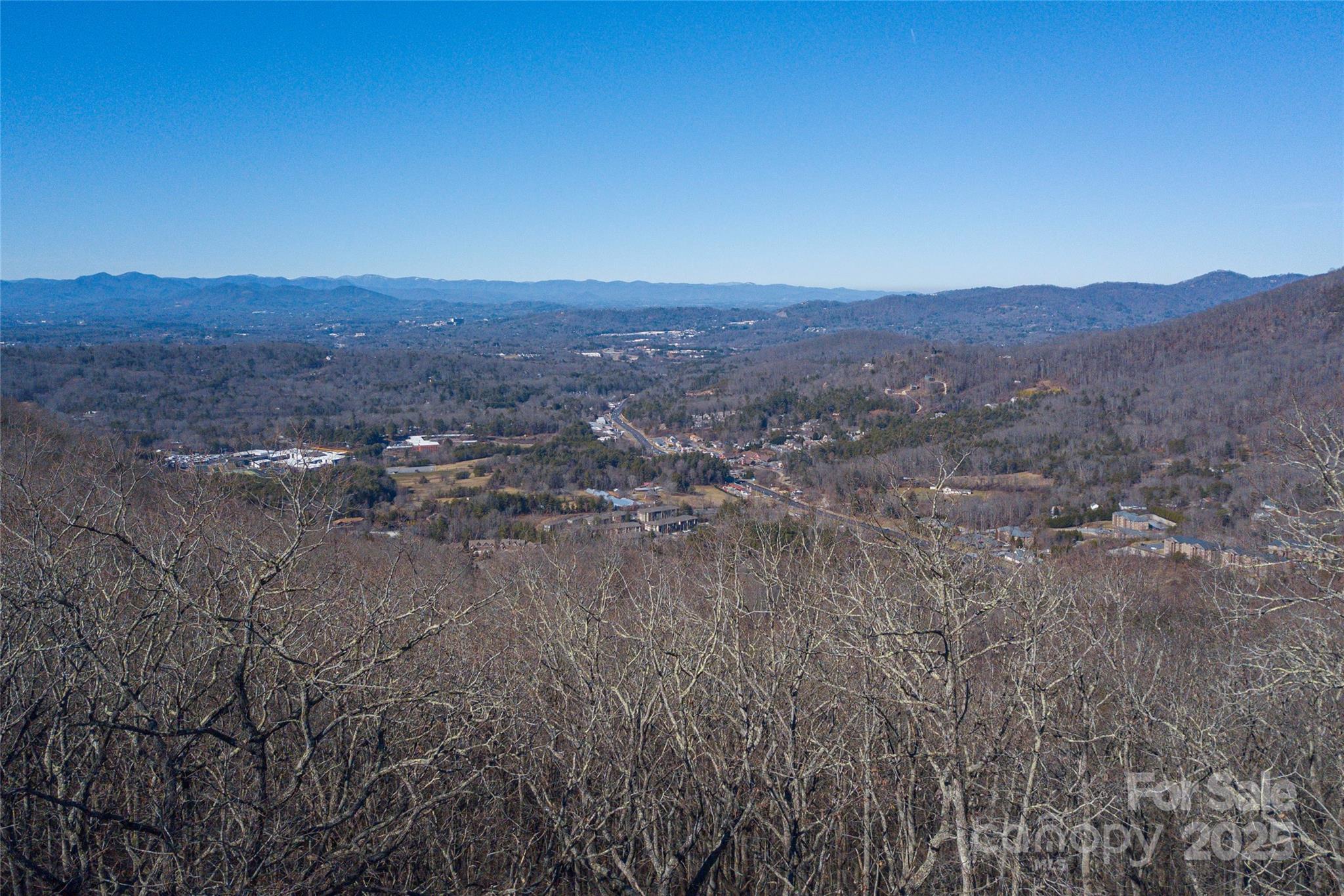 96 Castanea Mountain Drive