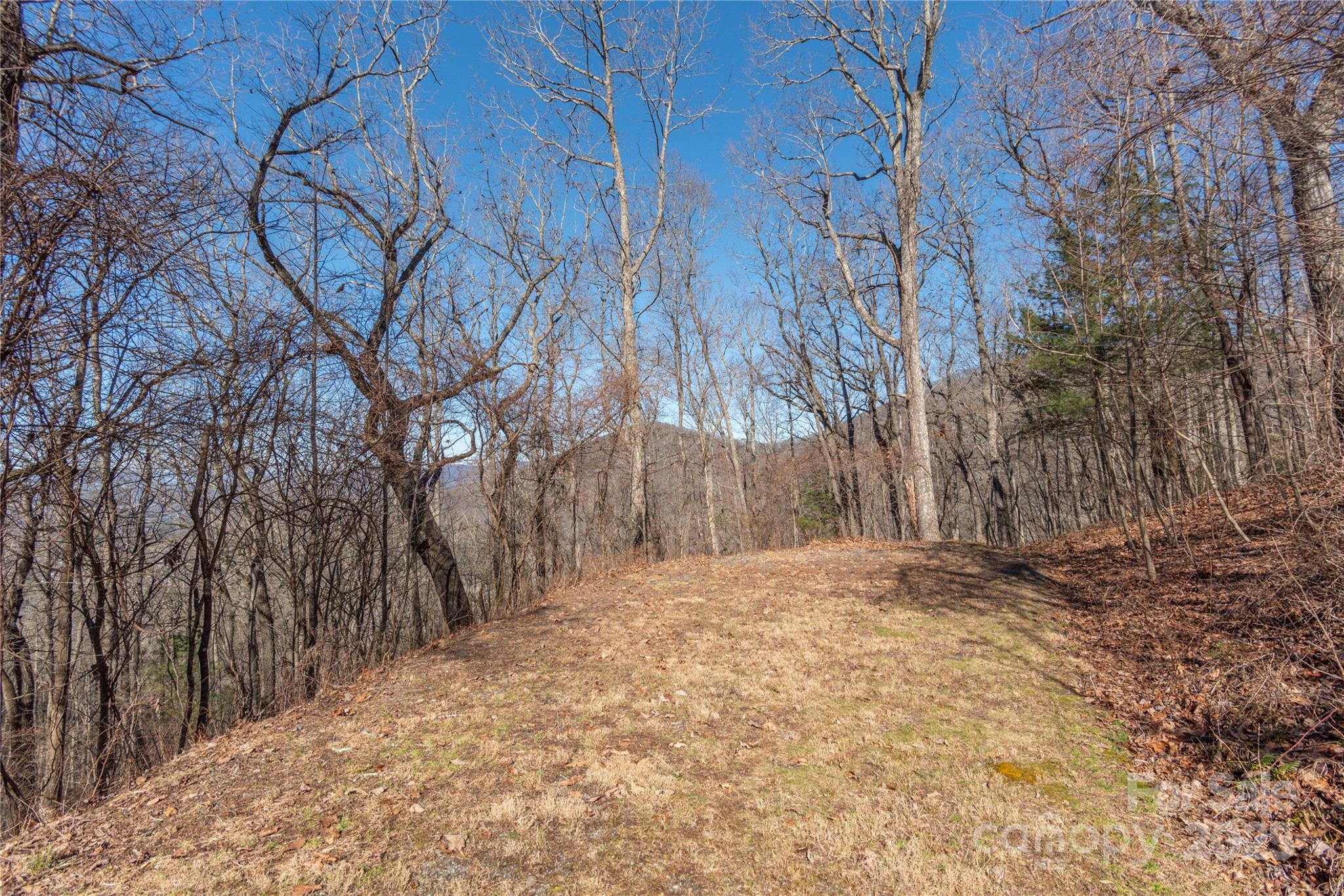 96 Castanea Mountain Drive