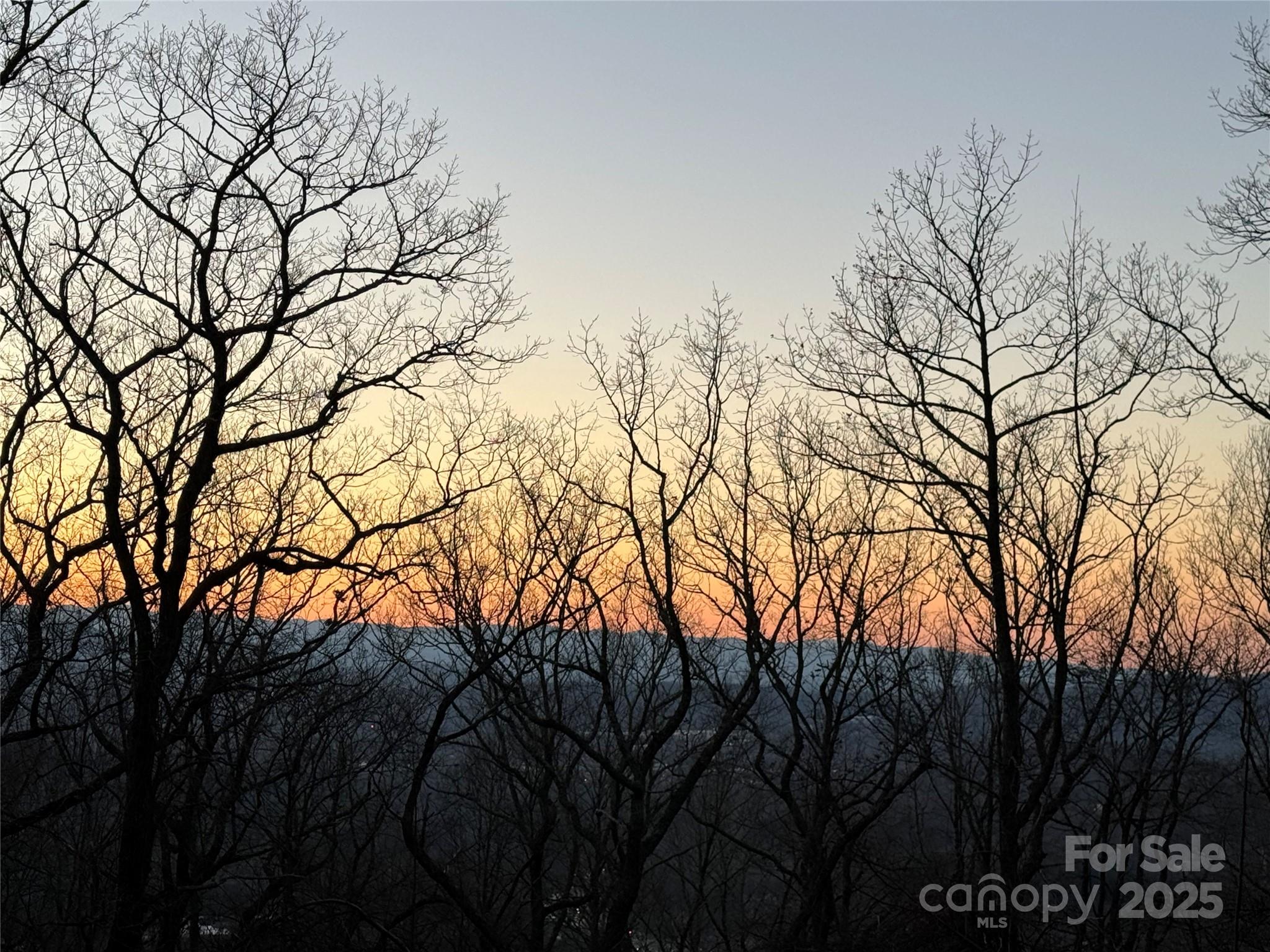 96 Castanea Mountain Drive