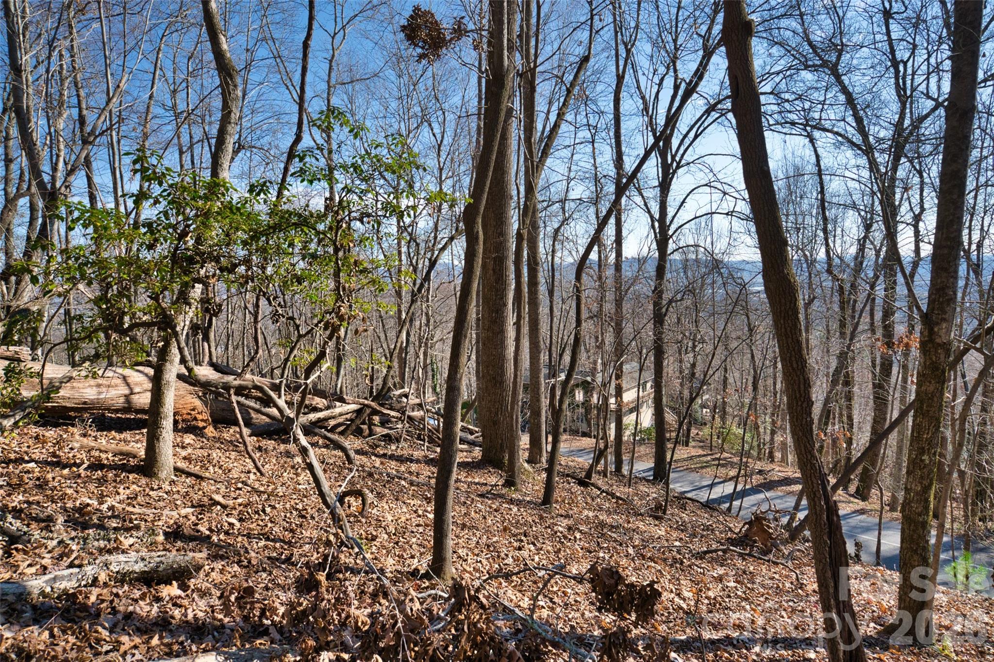 9999 Walnut Drive 166