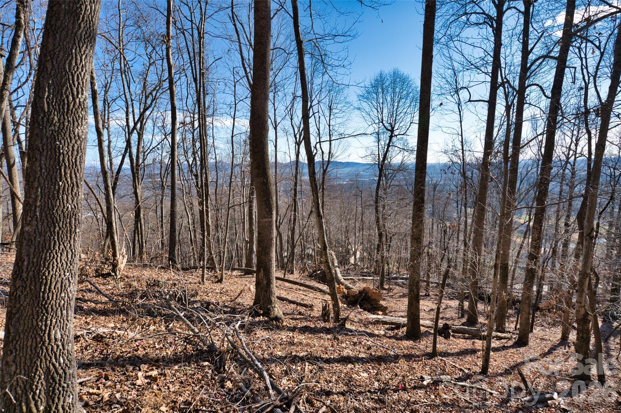 9999 Walnut Drive 166