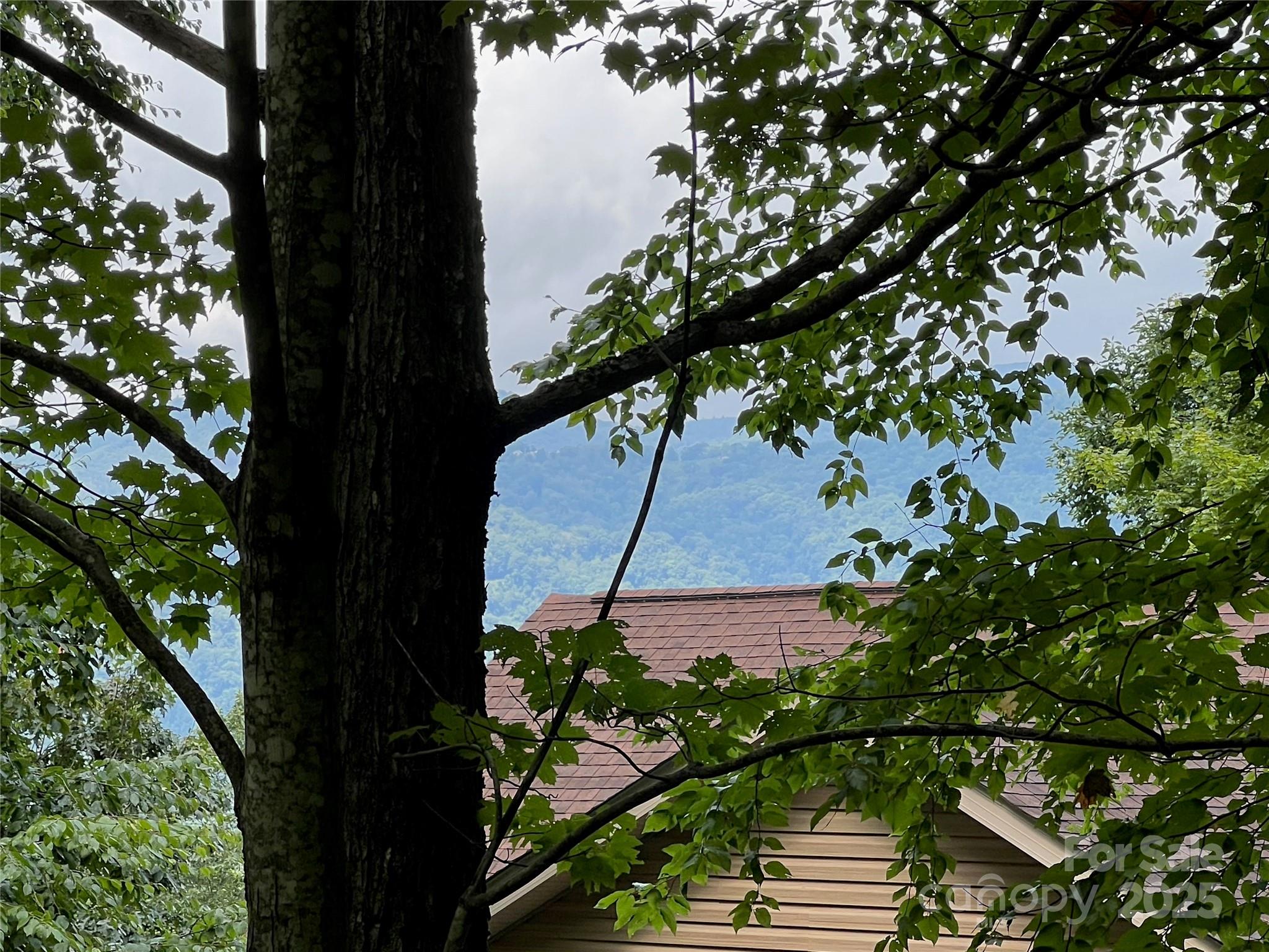 Mountain Top Development Inc - Land