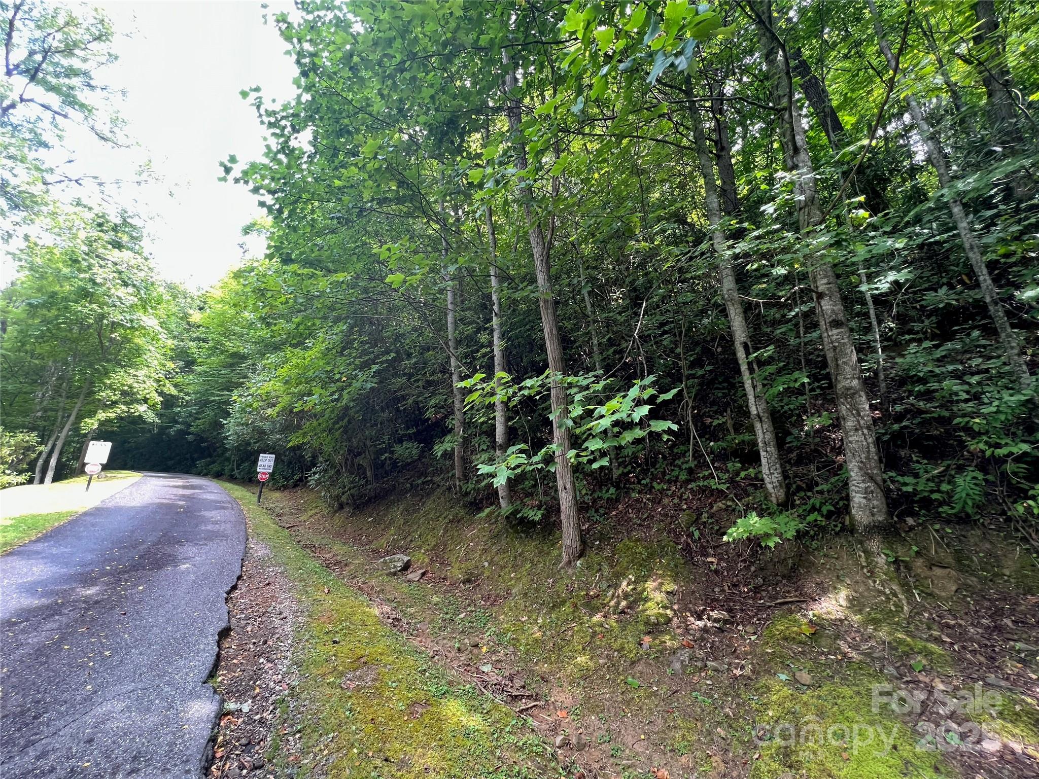 Mountain Top Development Inc - Land