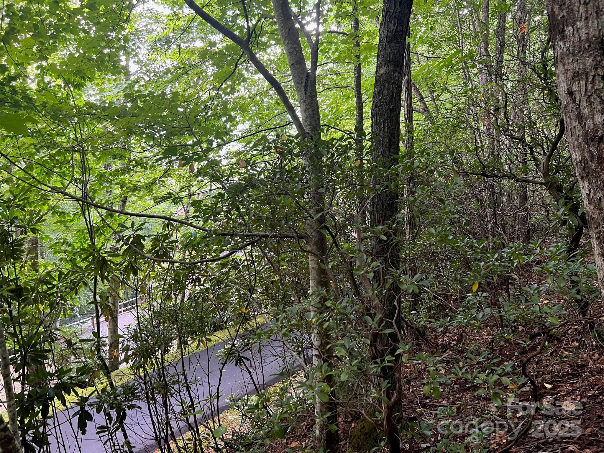 Mountain Top Development Inc - Land