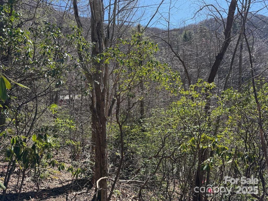 Mountain Top Development Inc - Land