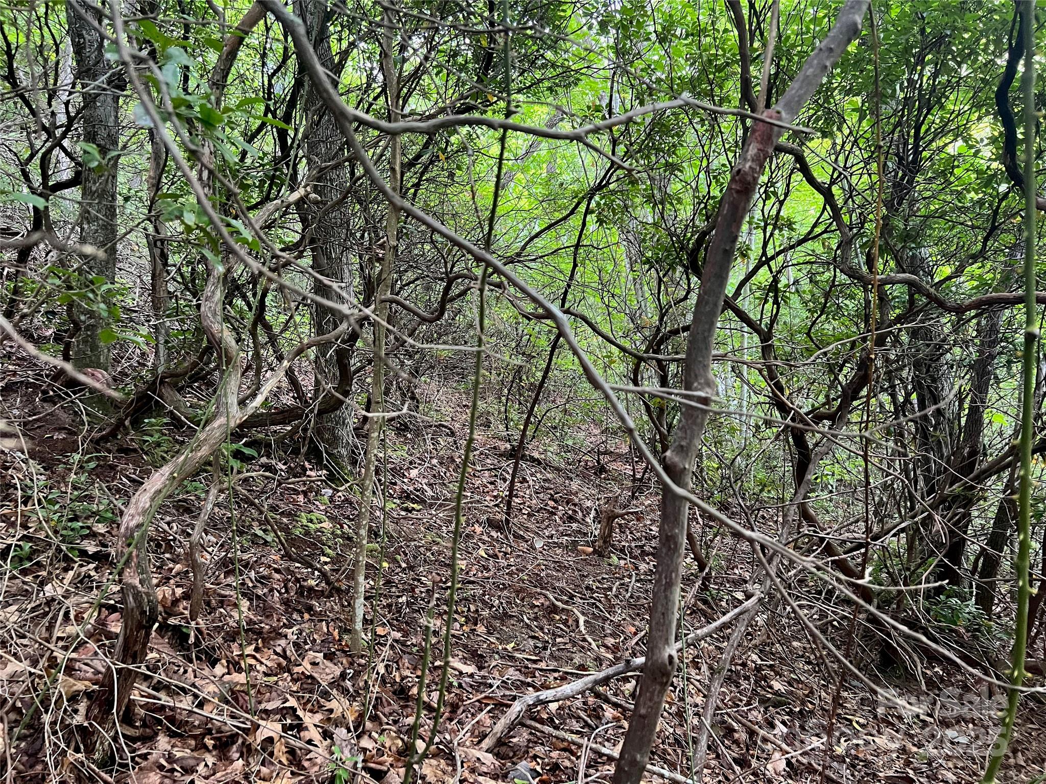 Mountain Top Development Inc - Land