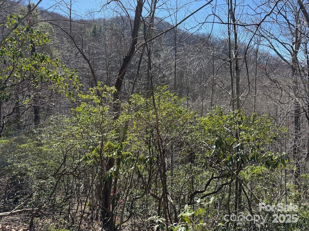 Mountain Top Development Inc - Land