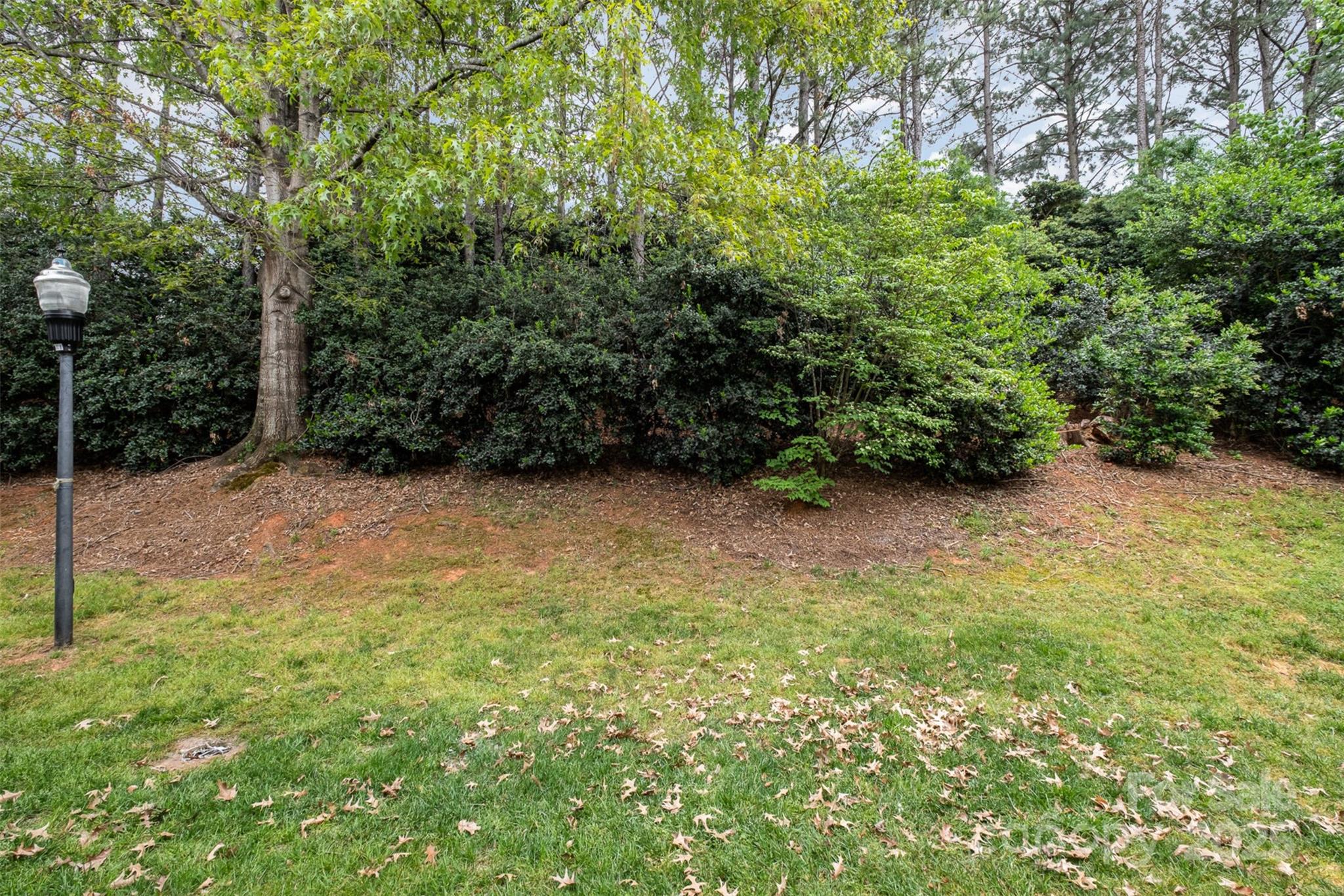 Adair at Ballantyne - Residential